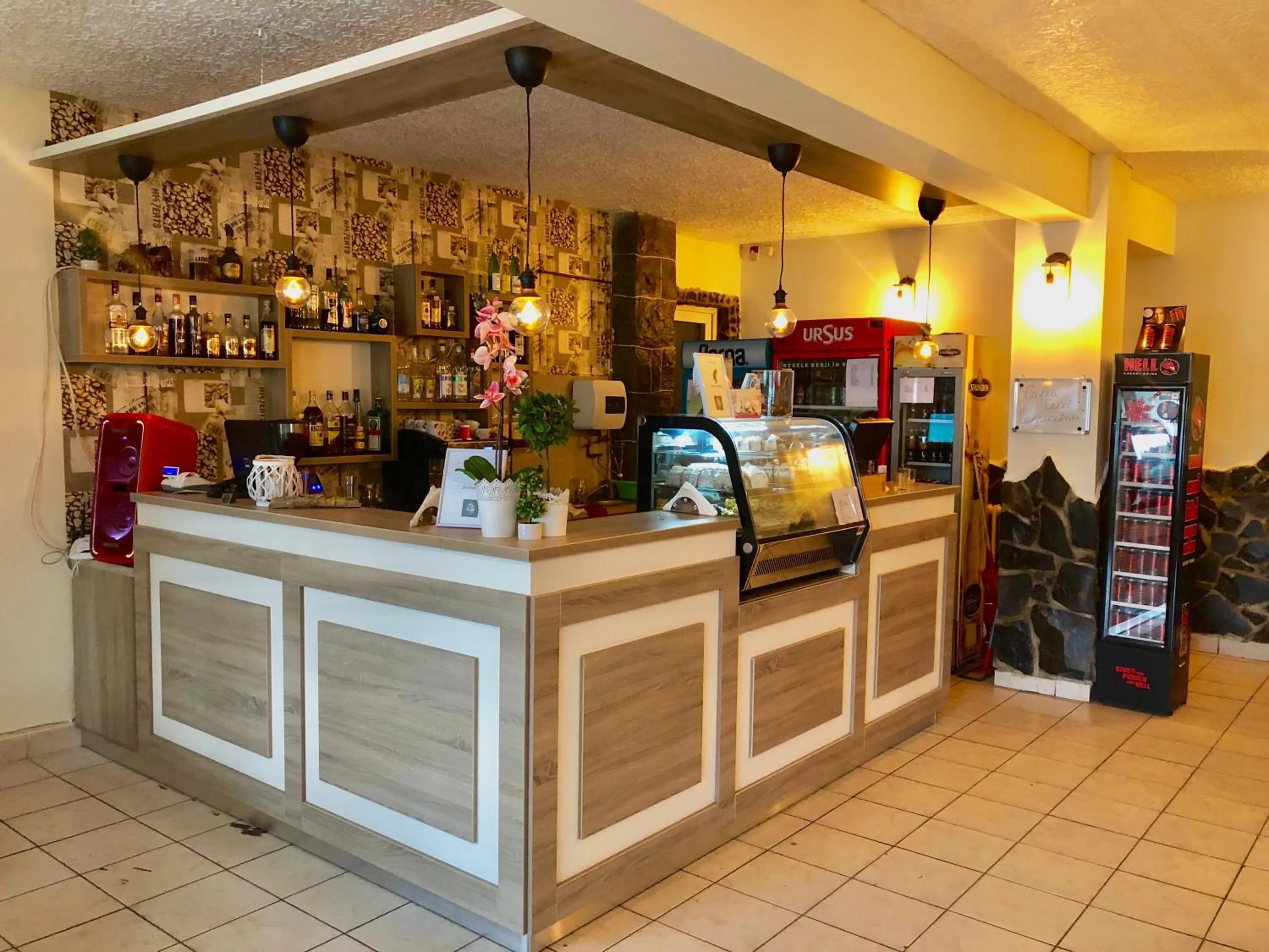 Lounge or bar in Vila Ursul Negru