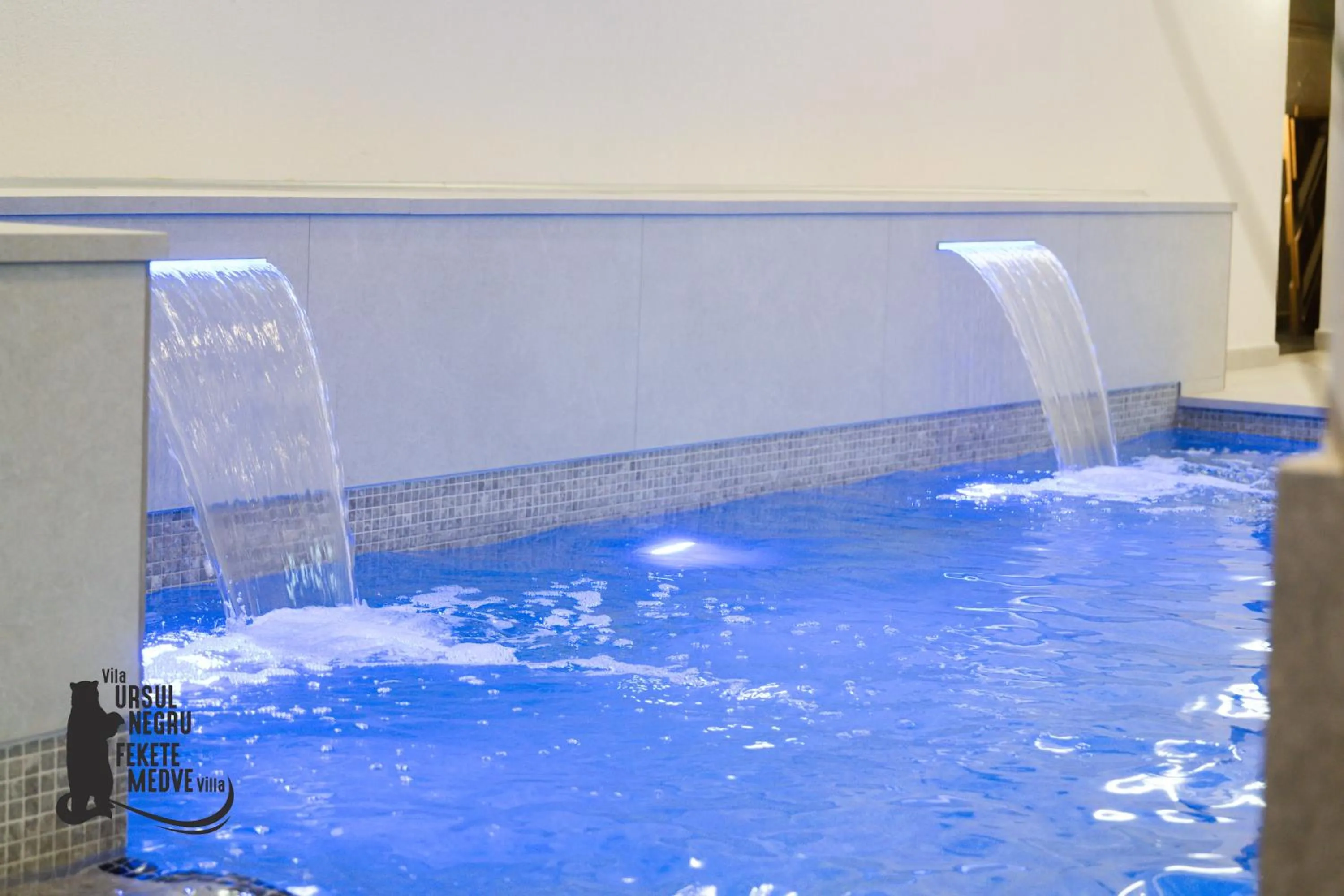 Spa and wellness centre/facilities in Vila Ursul Negru