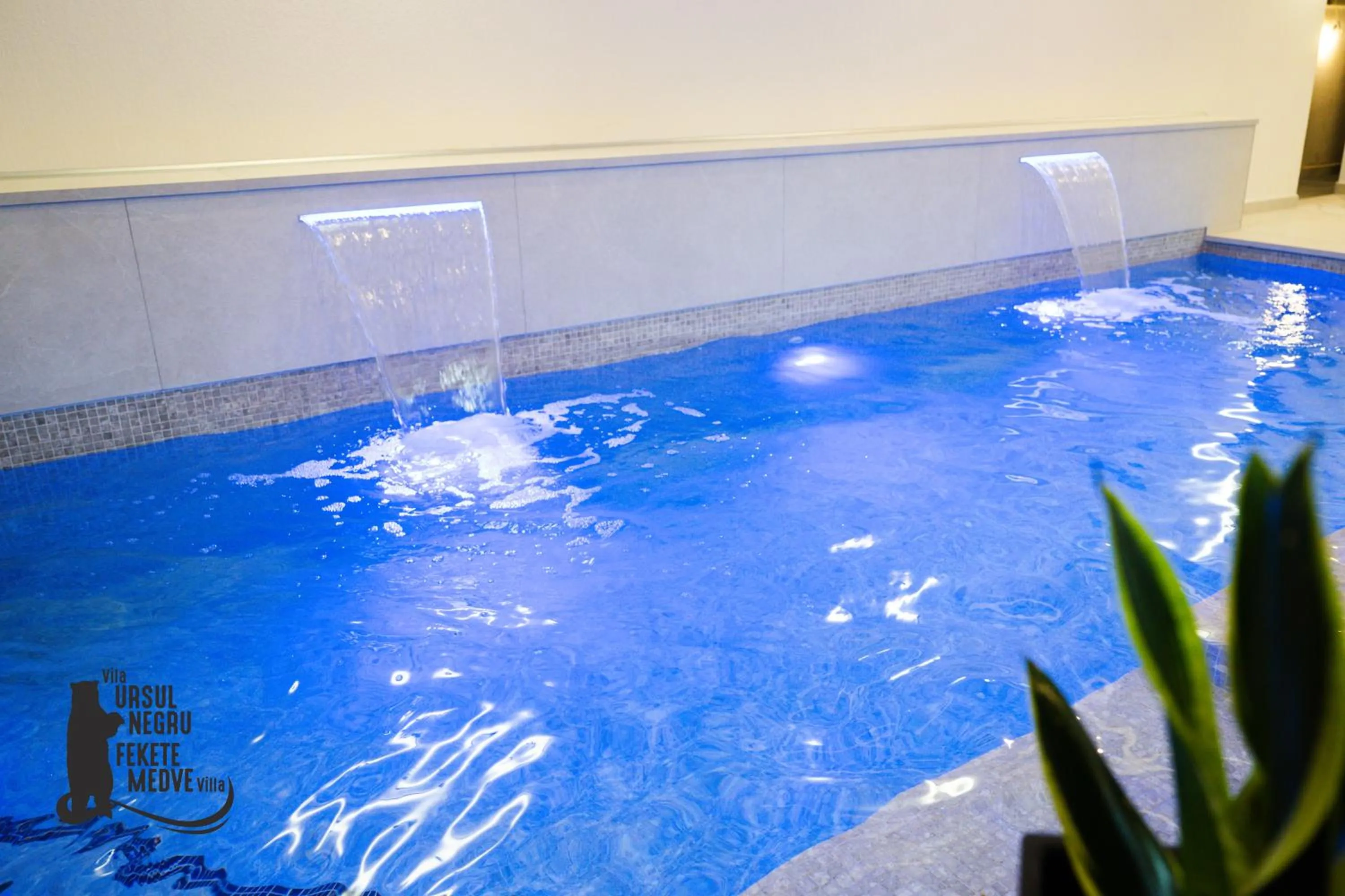 Spa and wellness centre/facilities in Vila Ursul Negru