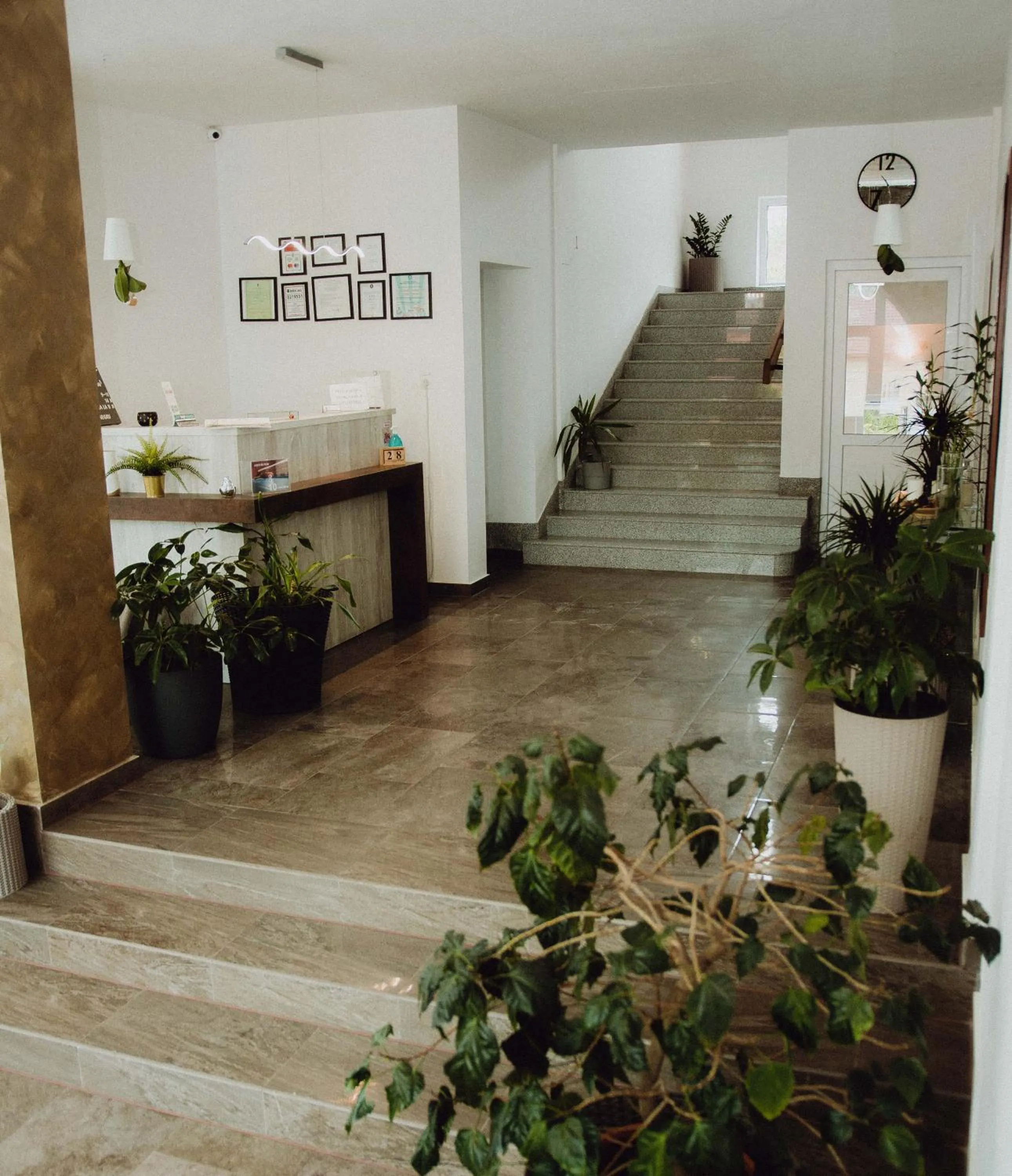 Lobby or reception in Vila Ursul Negru