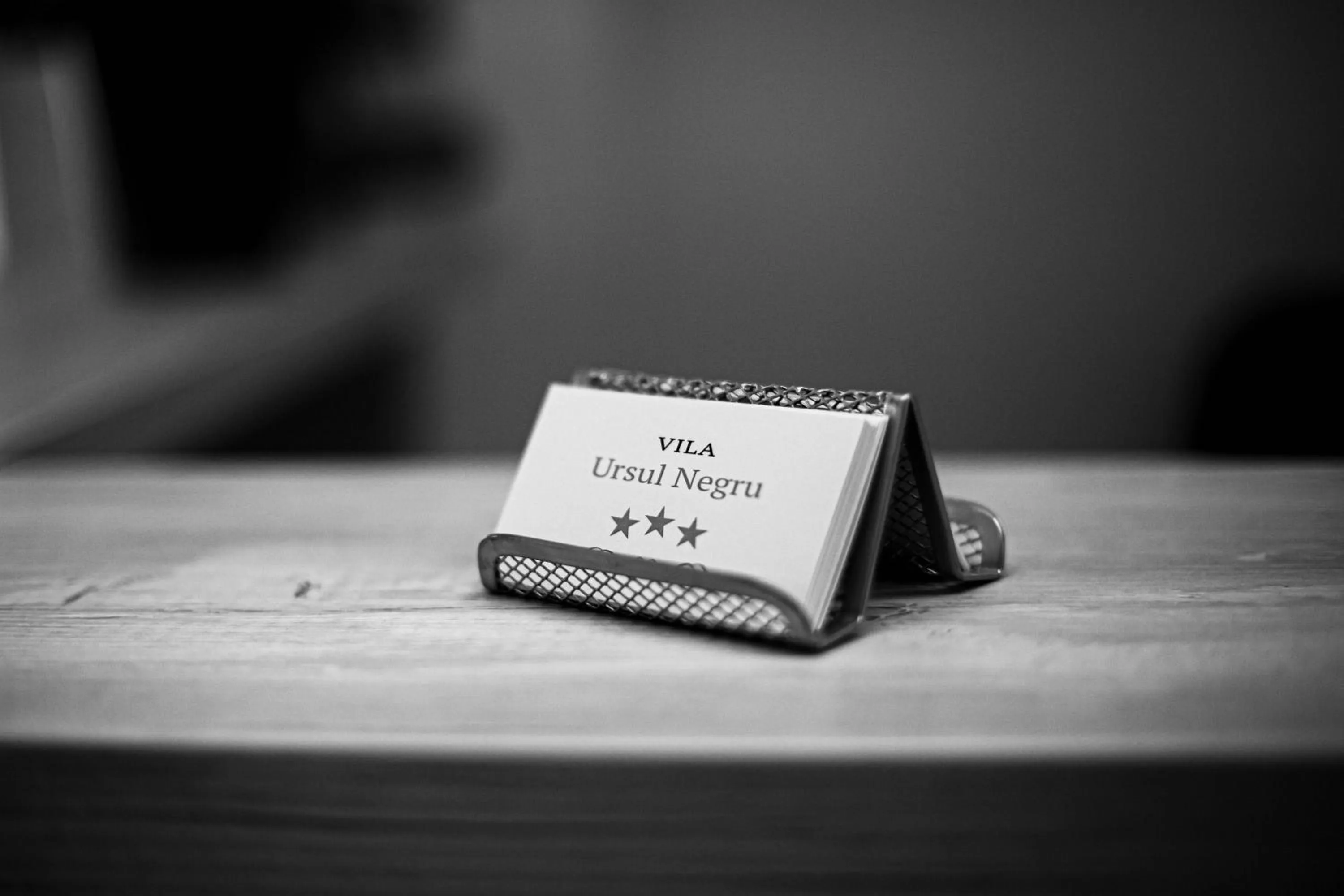 Property logo or sign in Vila Ursul Negru