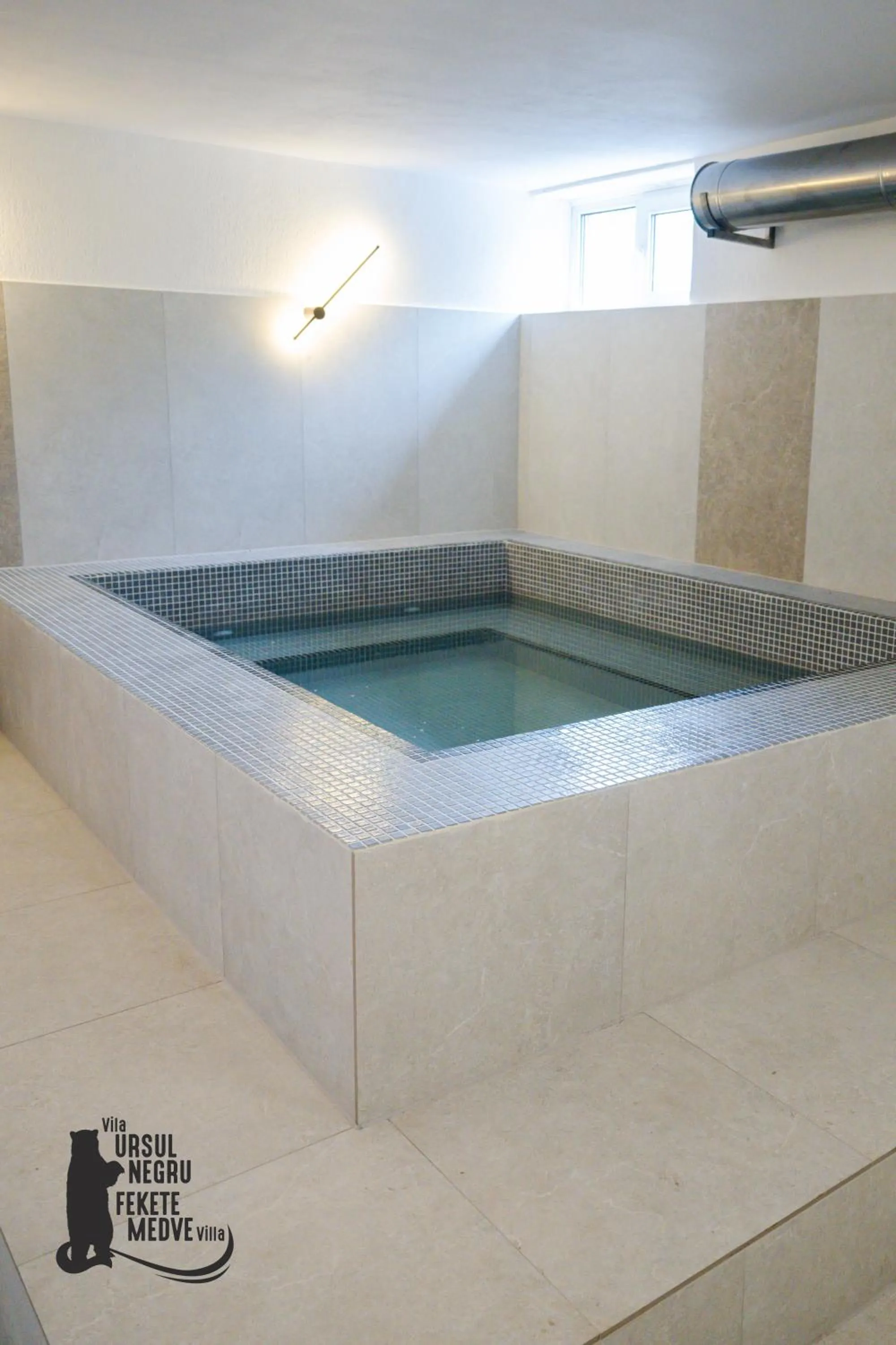 Spa and wellness centre/facilities in Vila Ursul Negru