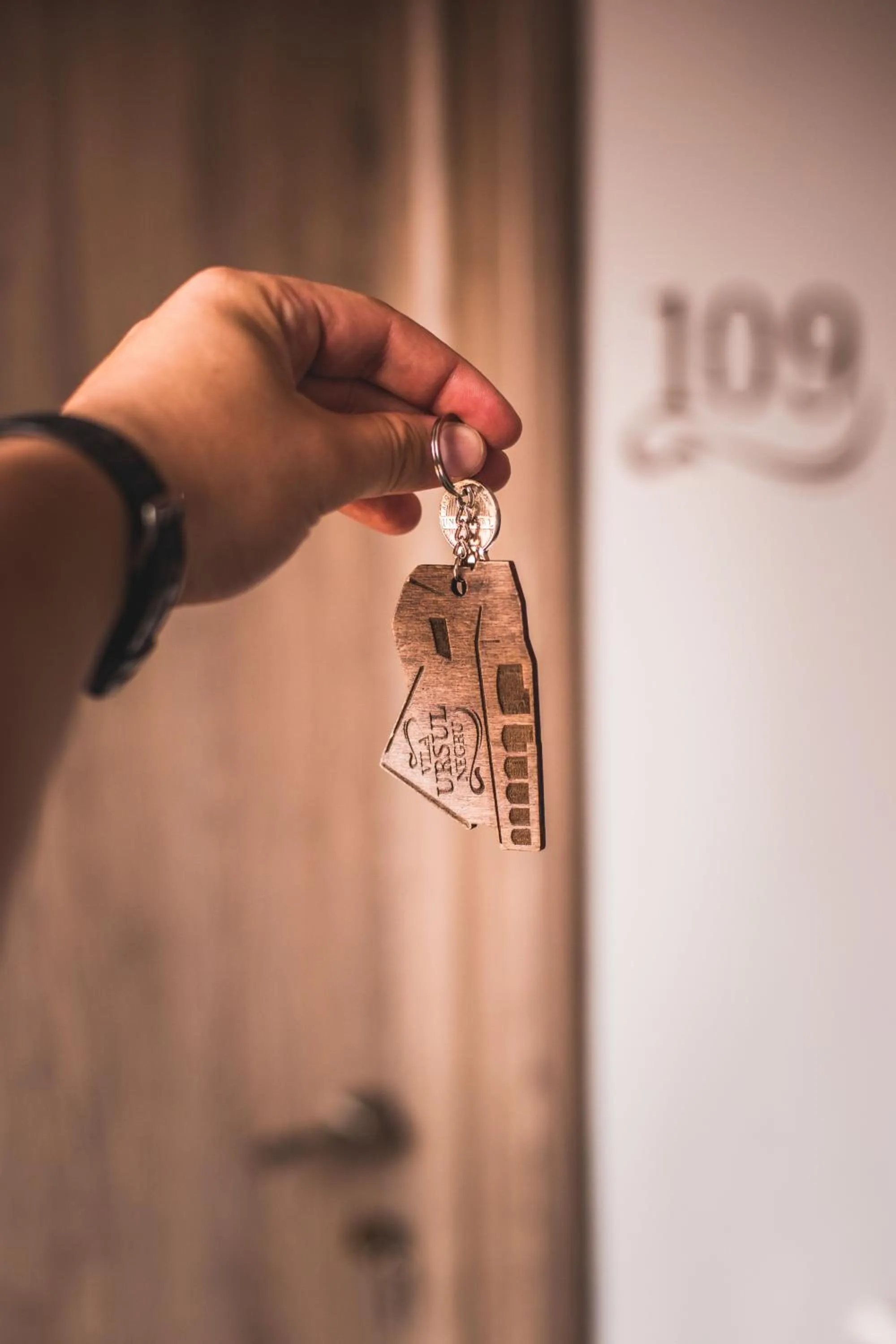 Property building in Vila Ursul Negru