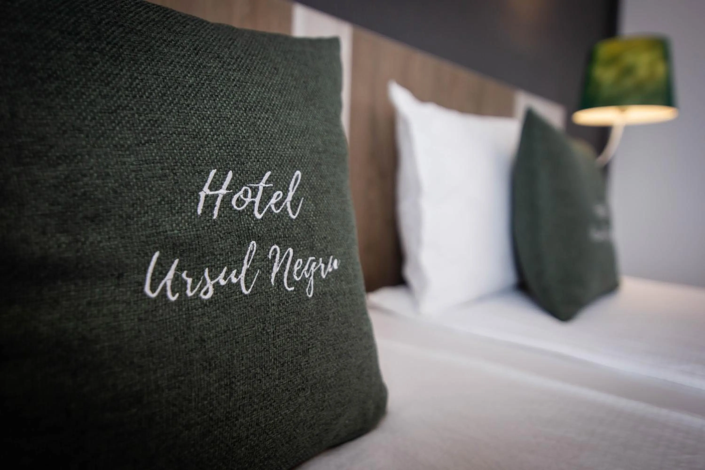 Bed in Vila Ursul Negru