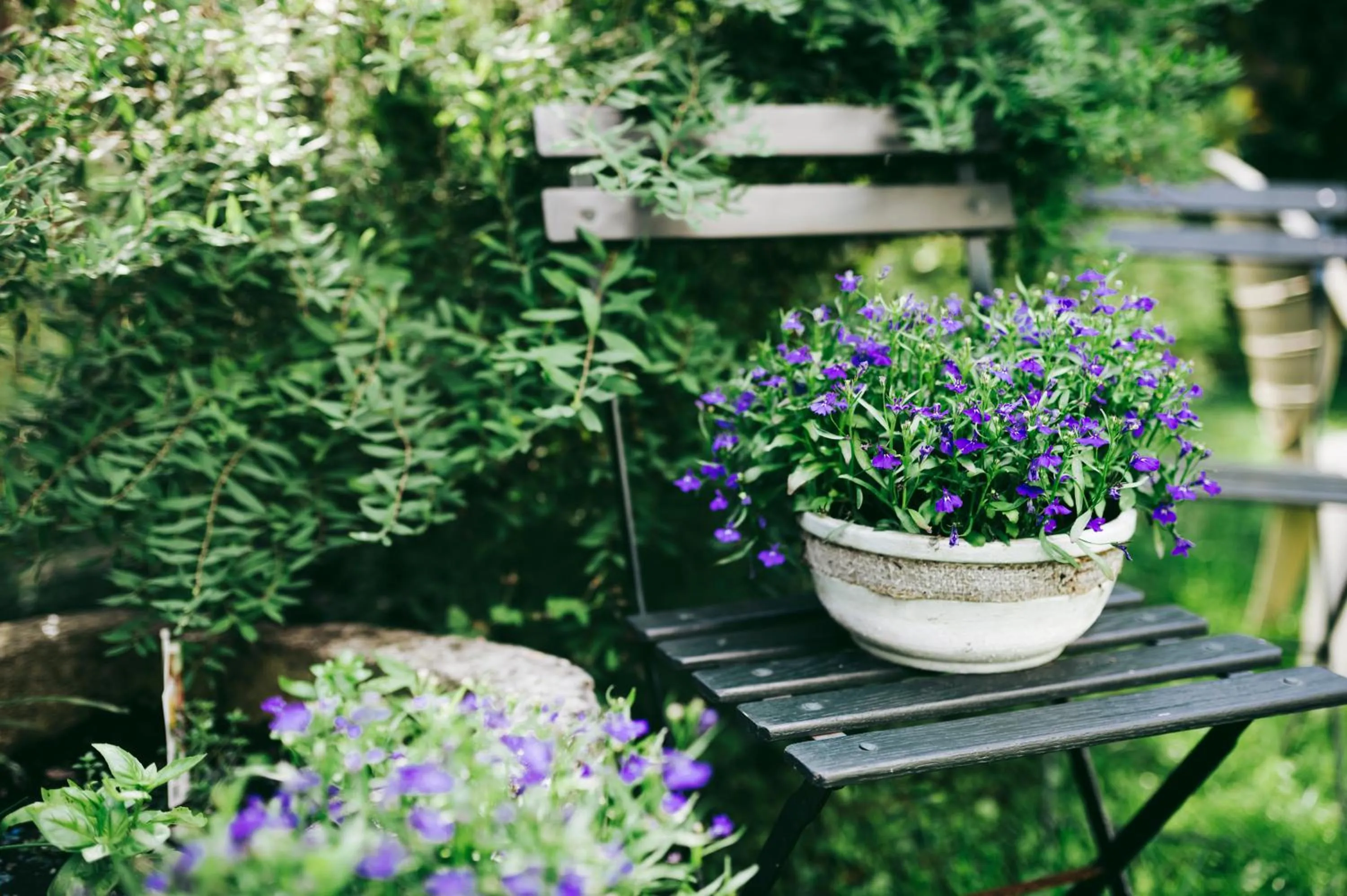 Property building in B&B Charlestown