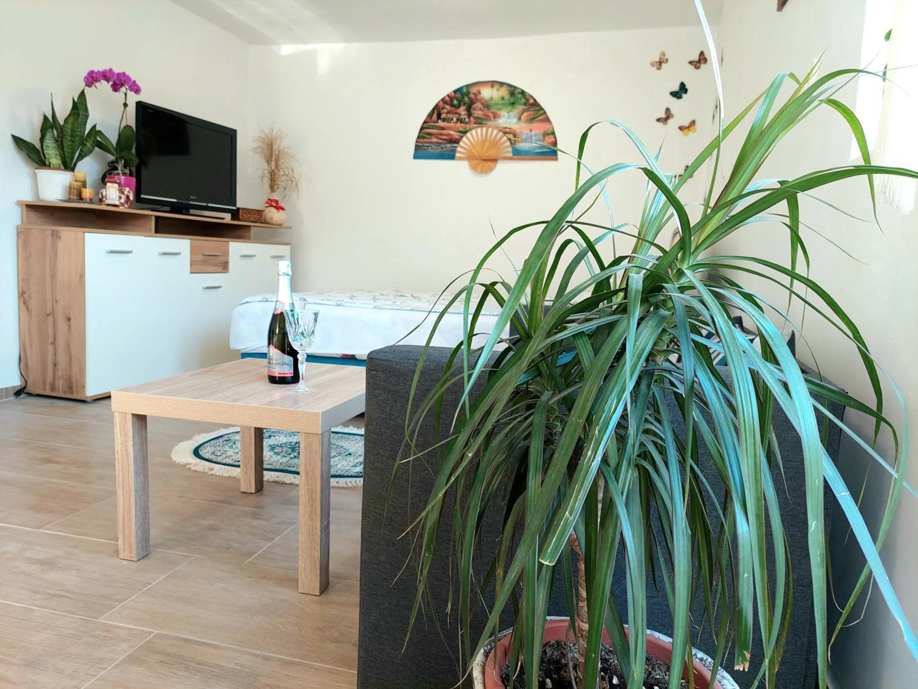 TV and multimedia in Apartments Karin