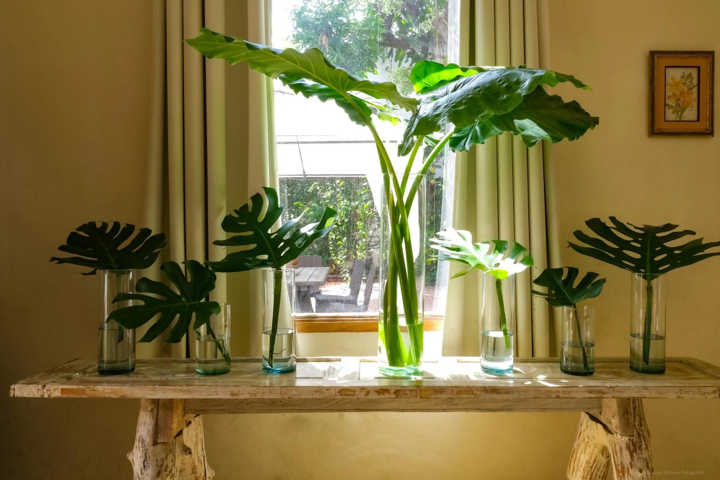 Decorative detail in Casa Bustamante Hotel Boutique