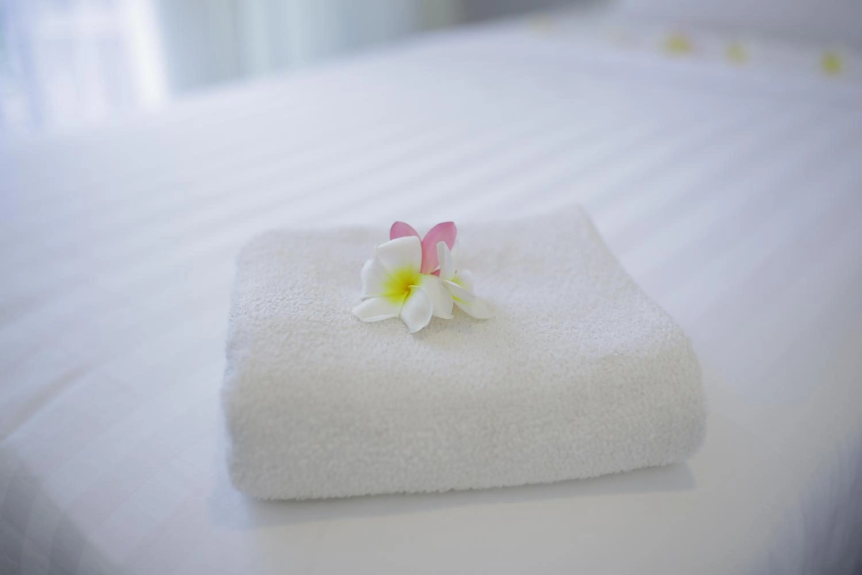 Bed in Aman Dan Laut