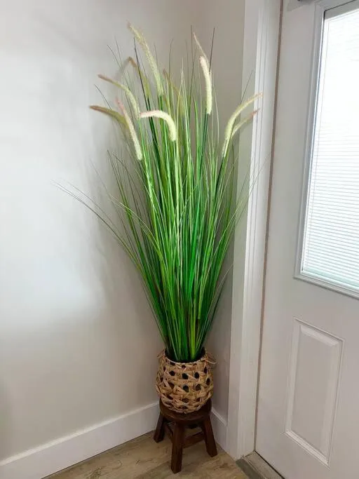 Aloha Apartments On the Intracoastal-Walk to the Beach