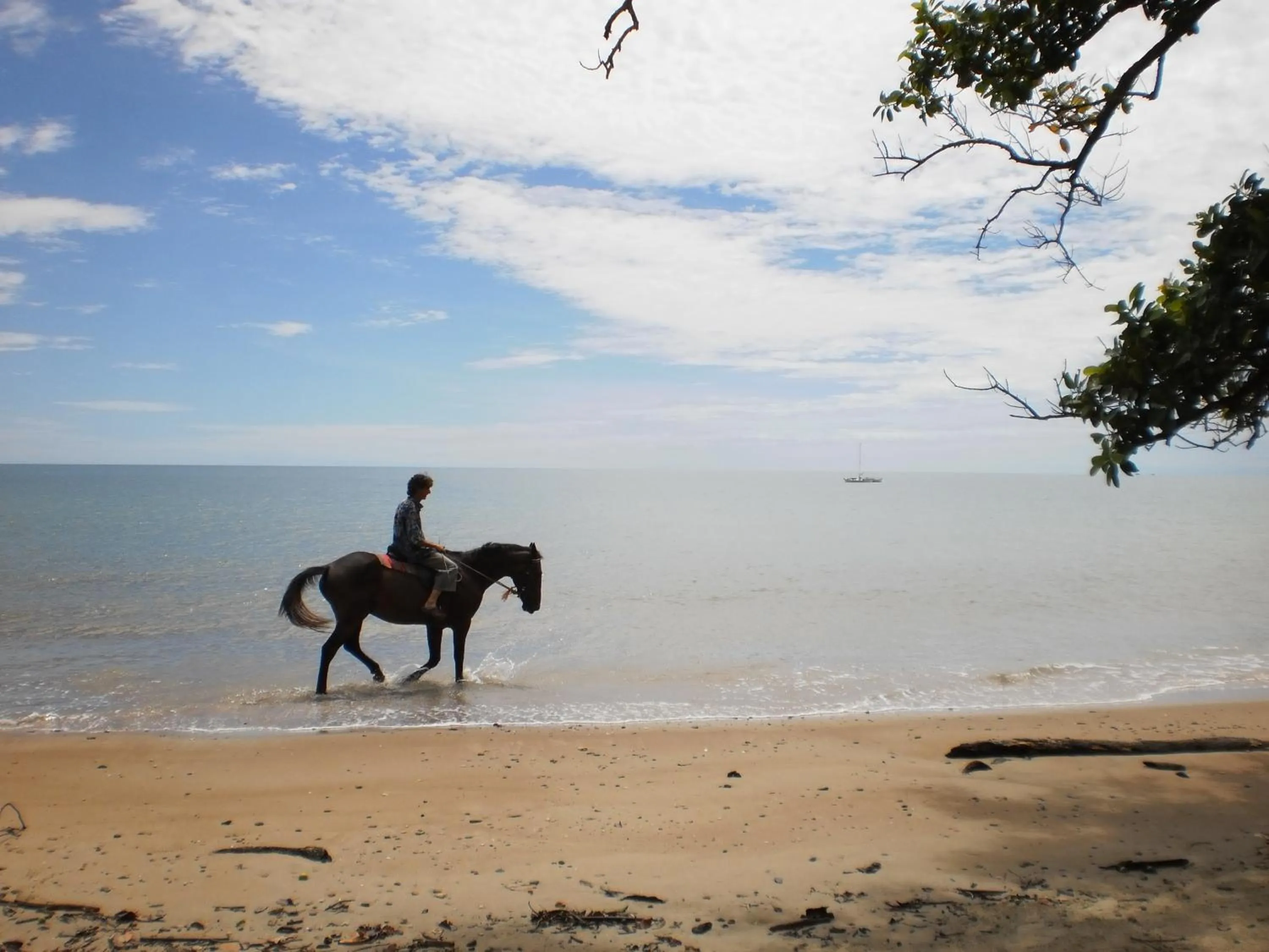 Activities in Epiphyte B & B