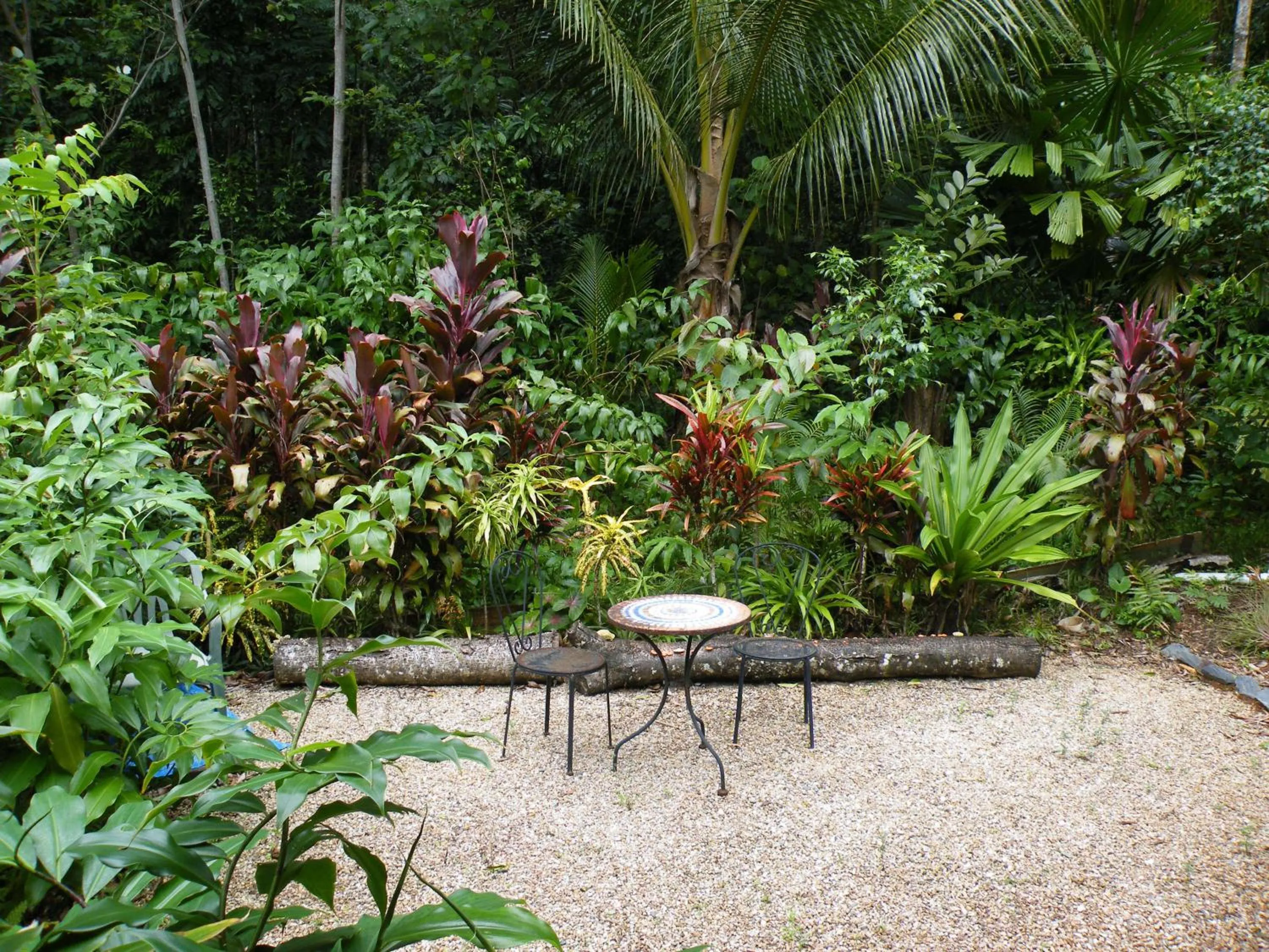 Garden in Epiphyte B & B