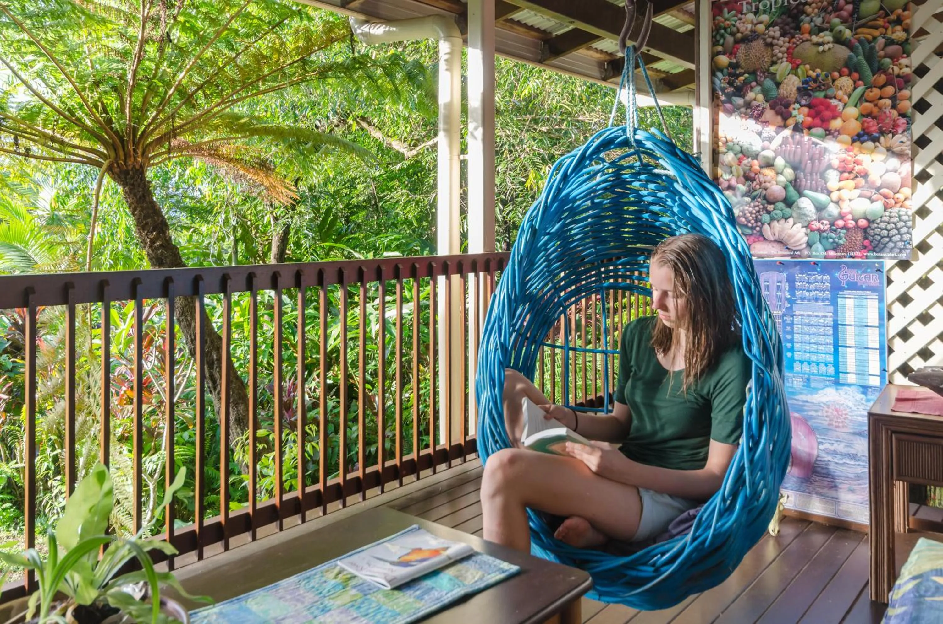 Balcony/Terrace in Epiphyte B & B