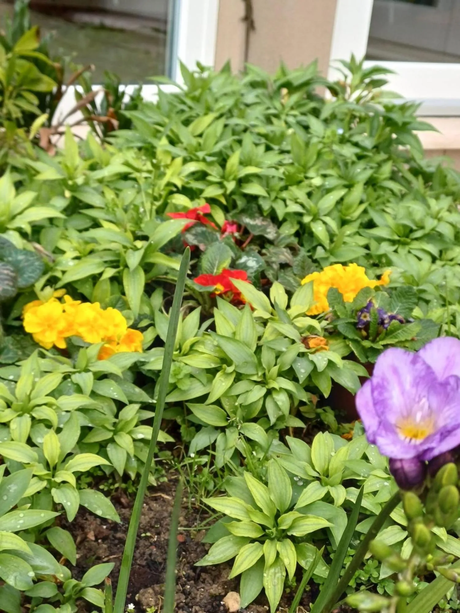 Breakfast in La Casa di Linda