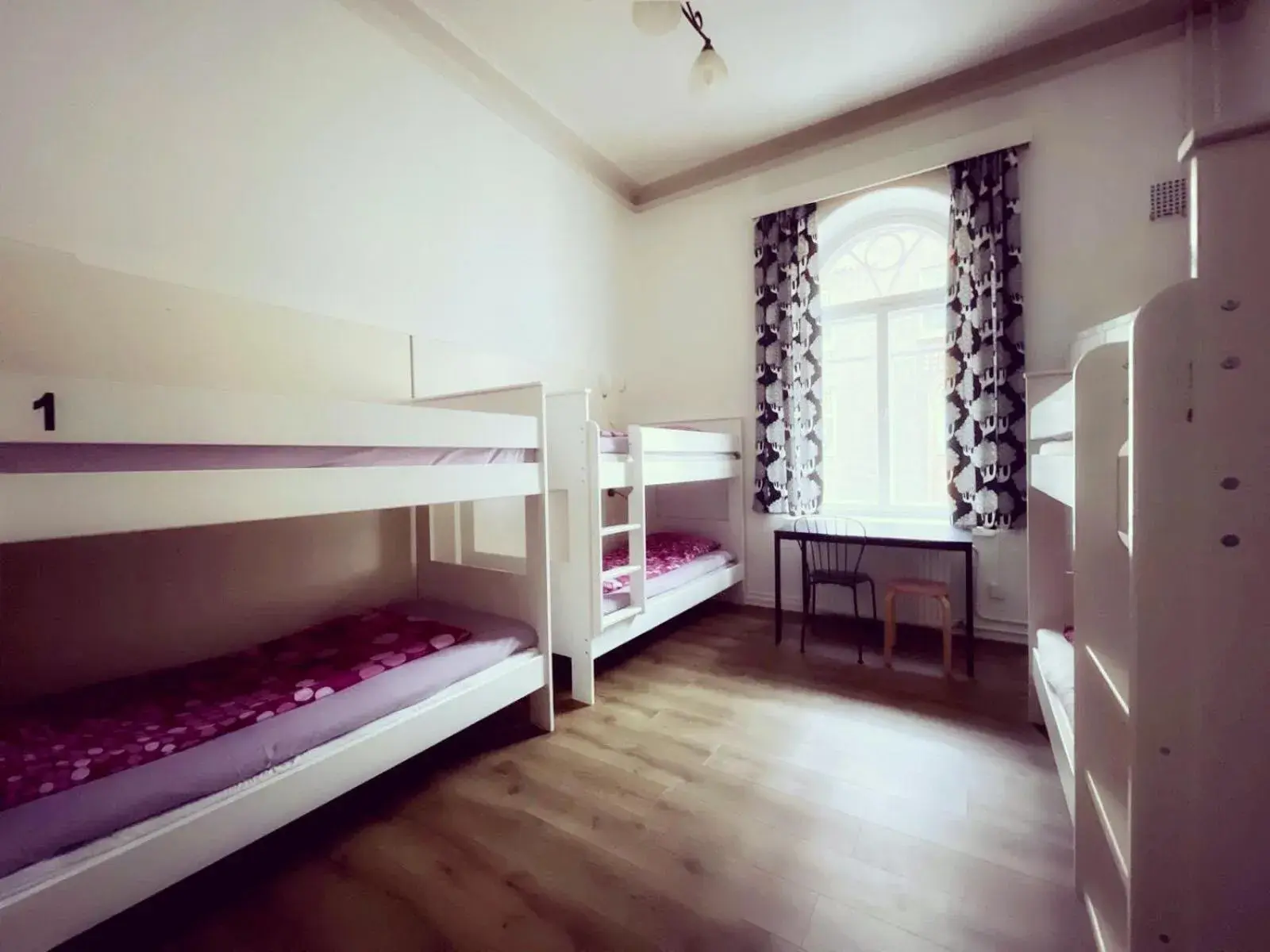 Single Bed in 6-Bed Female Dormitory in Hostel Diana Park Single Bed in 6-Bed Female Dormitory in Hostel Diana Park