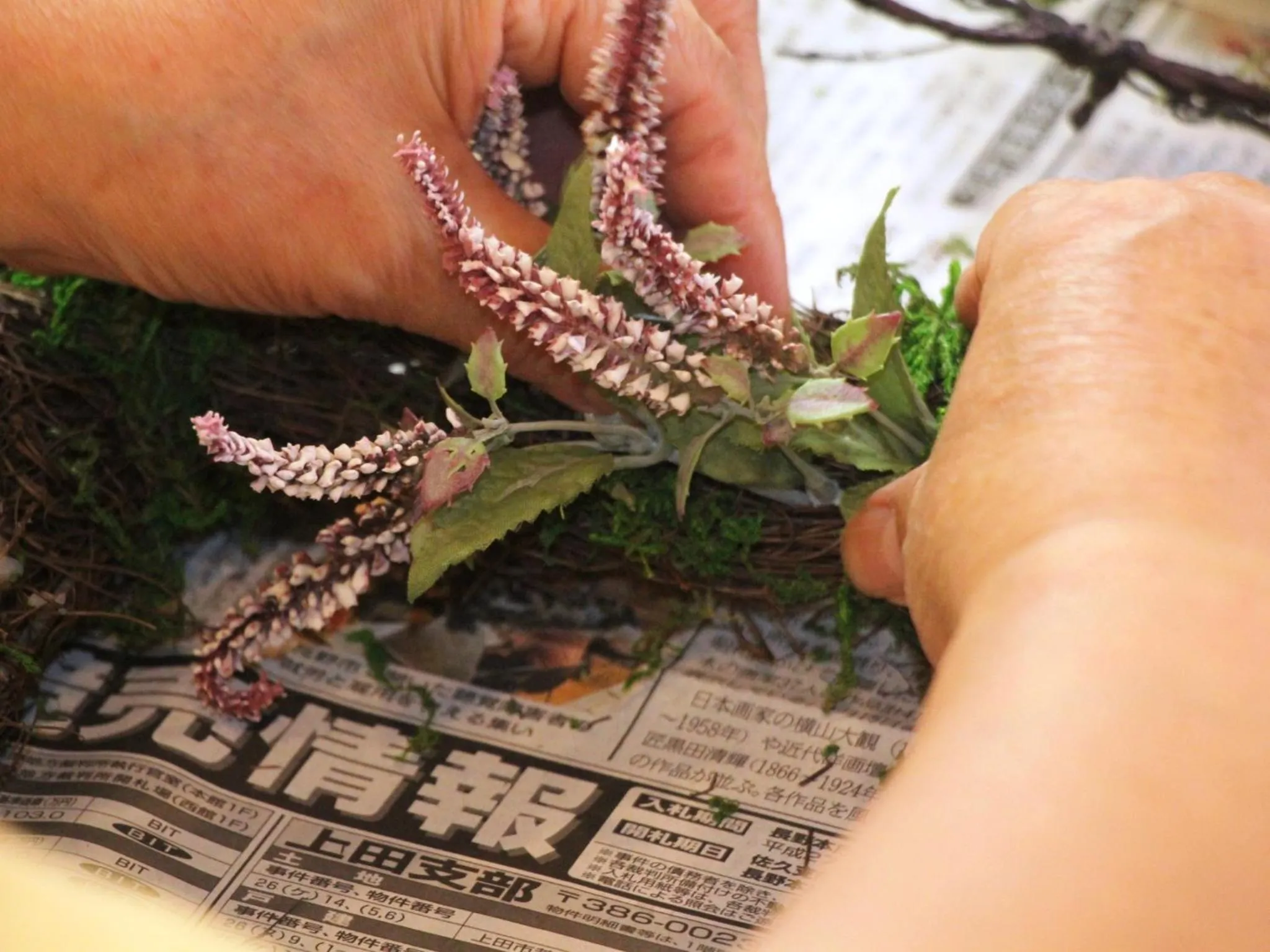 Activities, Other Animals in Lodge Yukiyama