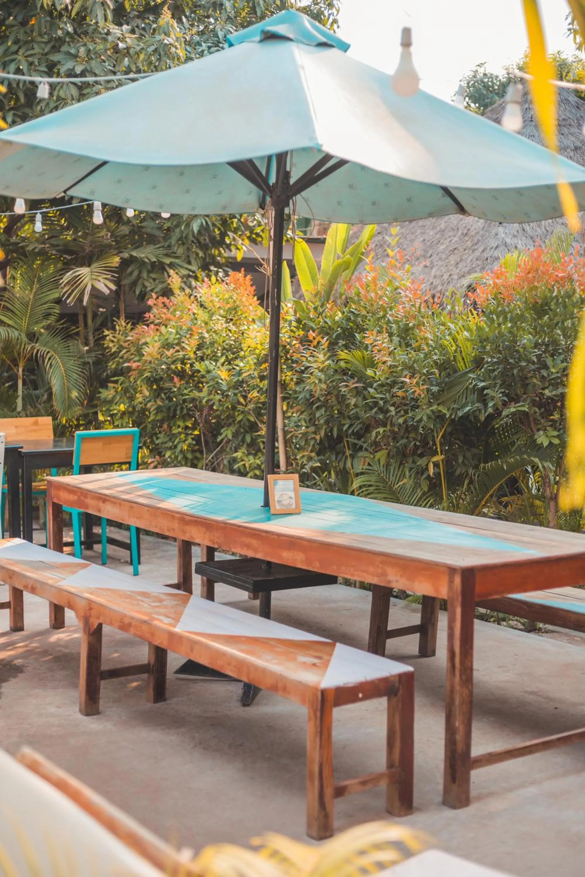 Garden in Baby Elephant Boutique Hotel