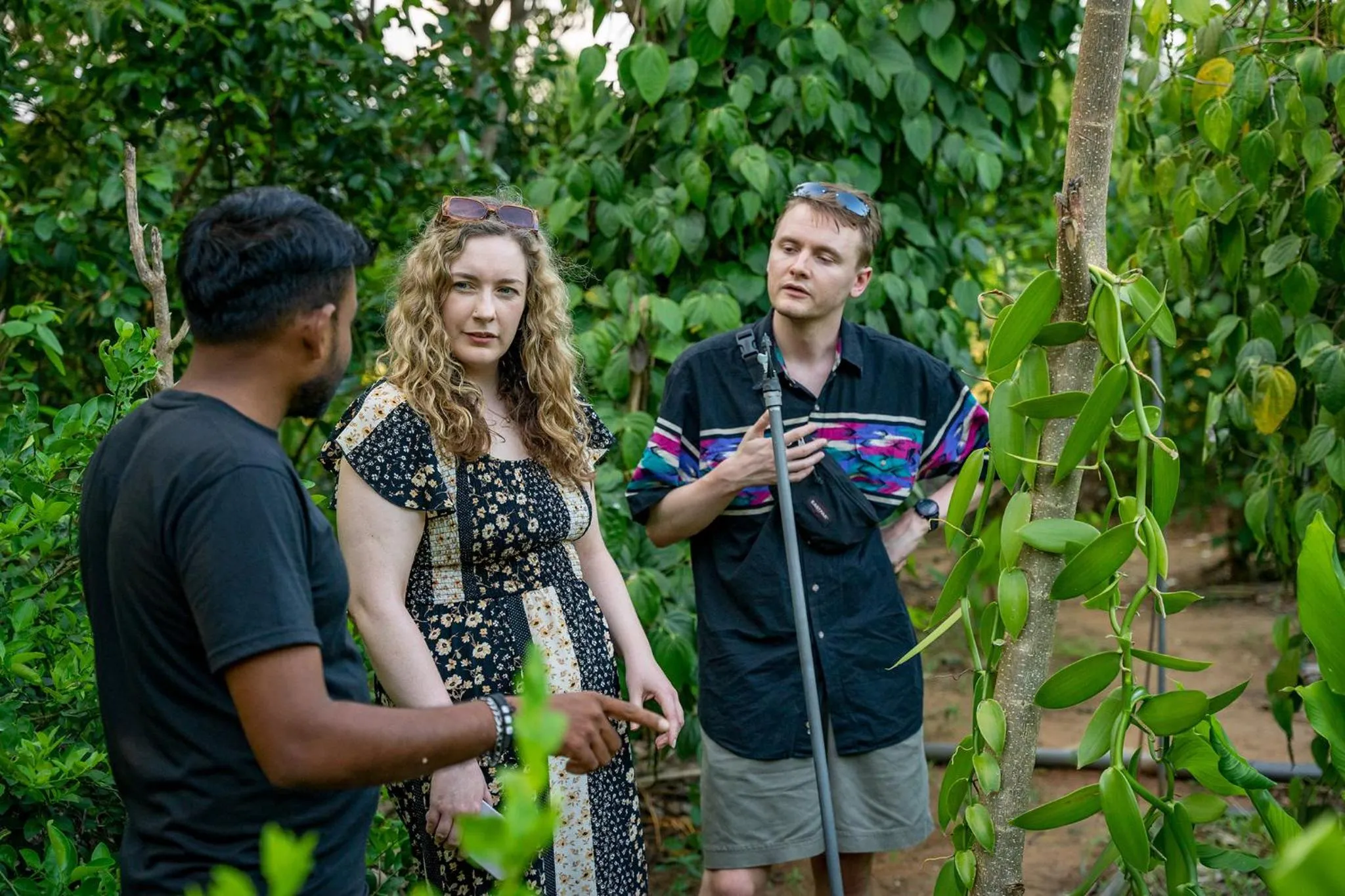Garden in Mailagama Cinnamon Residence