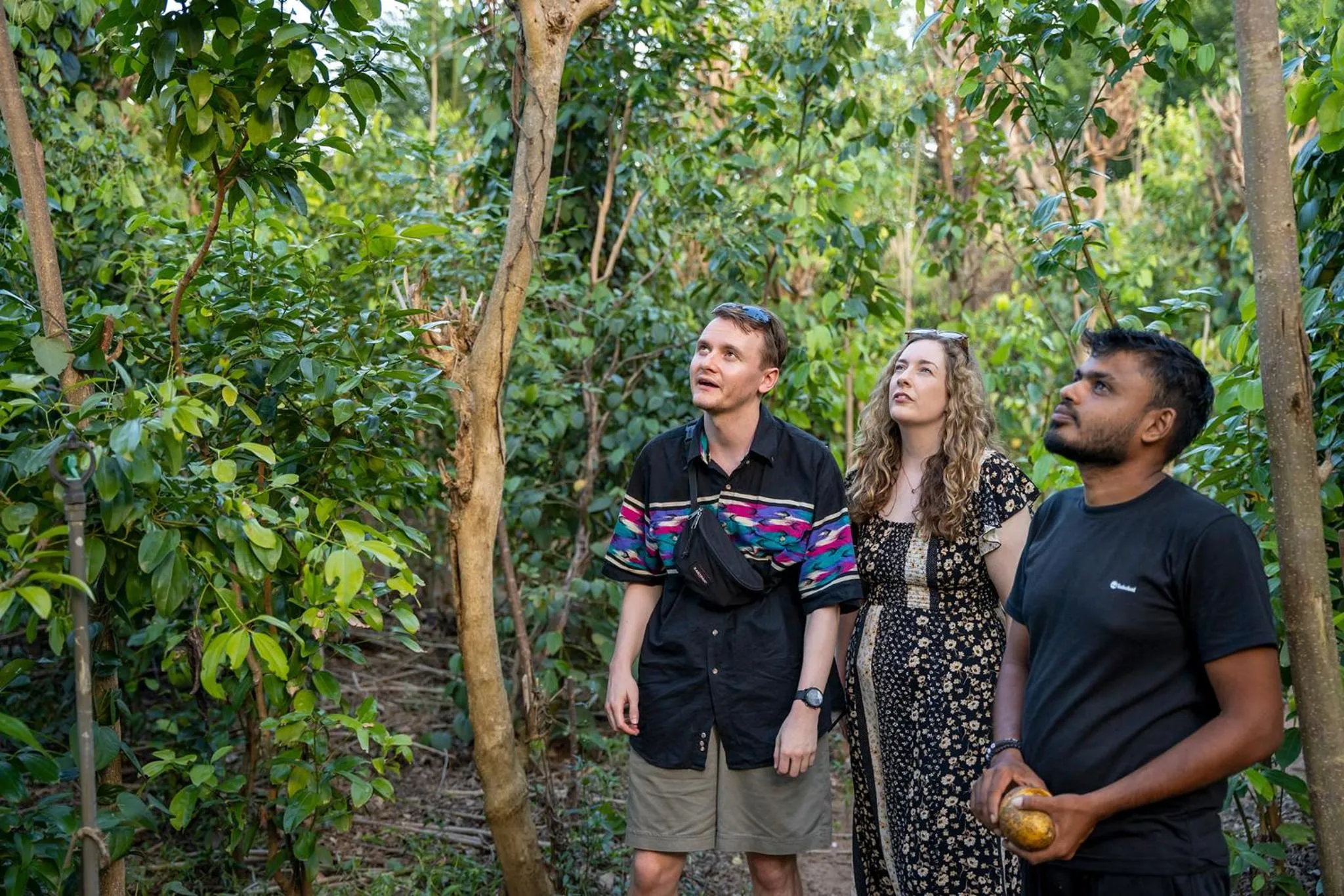 Garden in Mailagama Cinnamon Residence