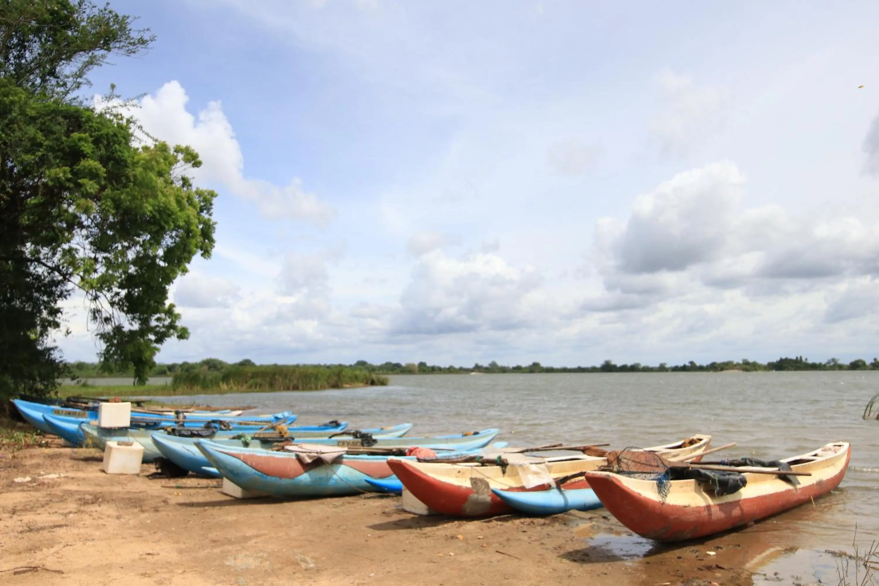 Natural landscape in Mailagama Cinnamon Residence