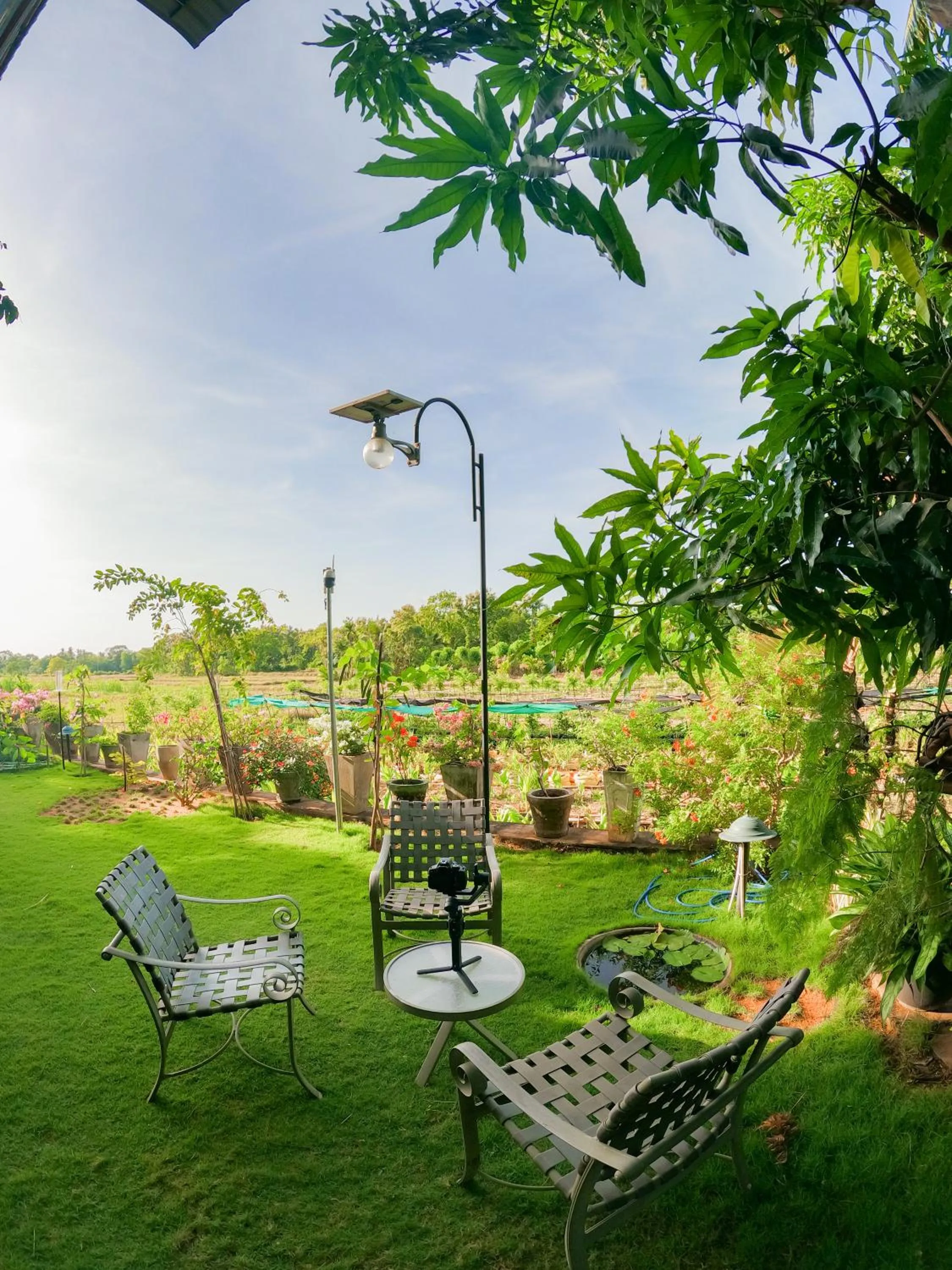 Garden view in Mailagama Cinnamon Residence