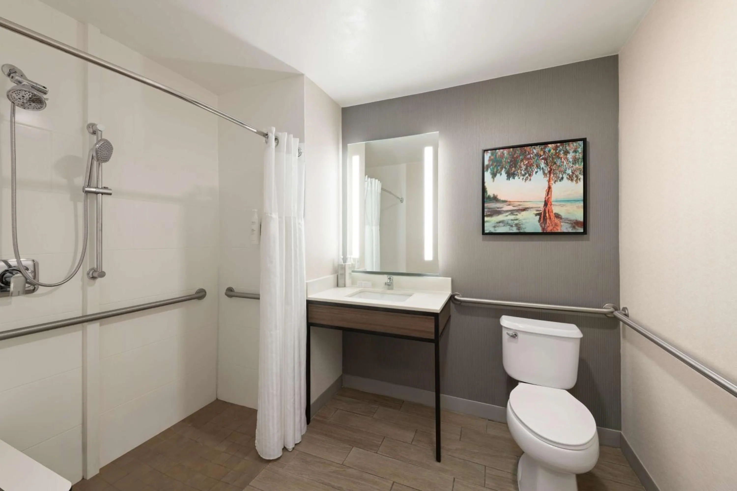 Bathroom in Hilton Garden Inn Tallahassee