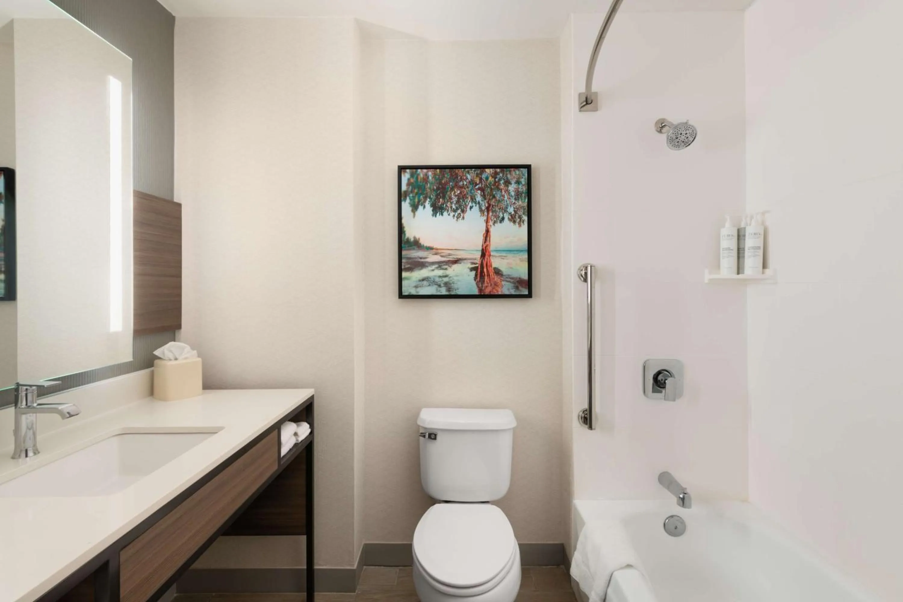 Bathroom in Hilton Garden Inn Tallahassee