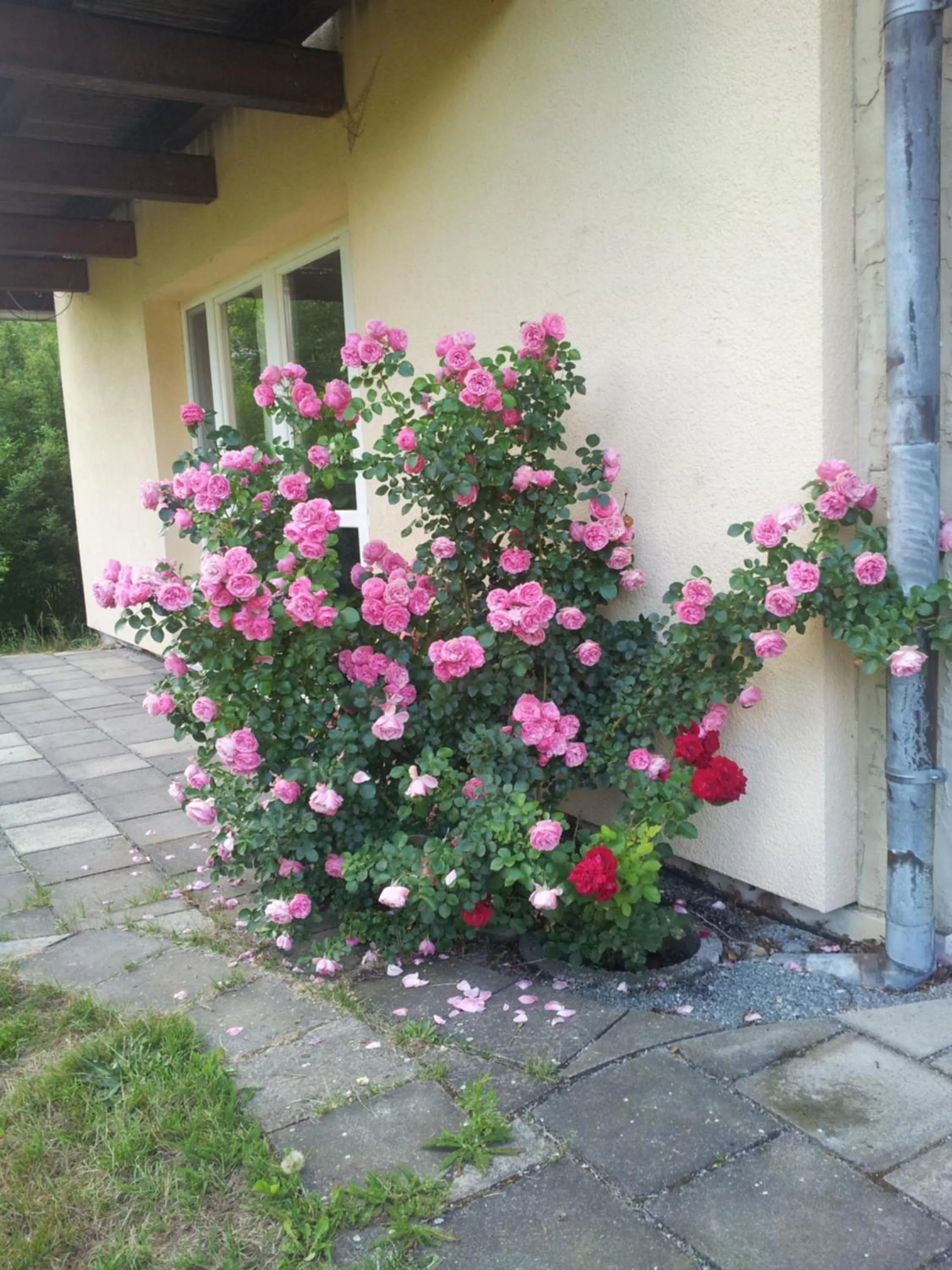 Ferienwohnung am Spreeradweg