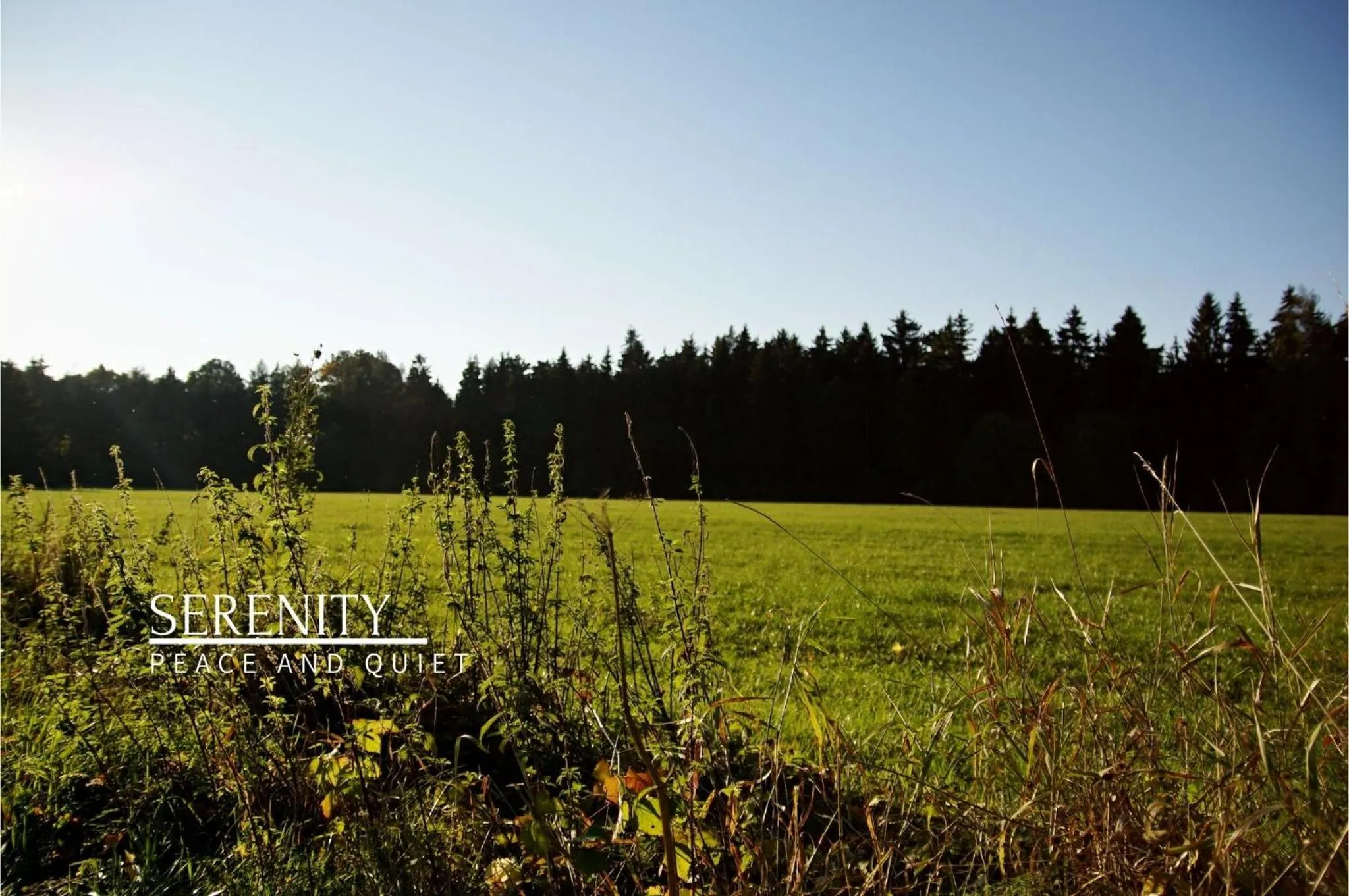 Activities in Rezidence Zámeček - Boutique Hotel