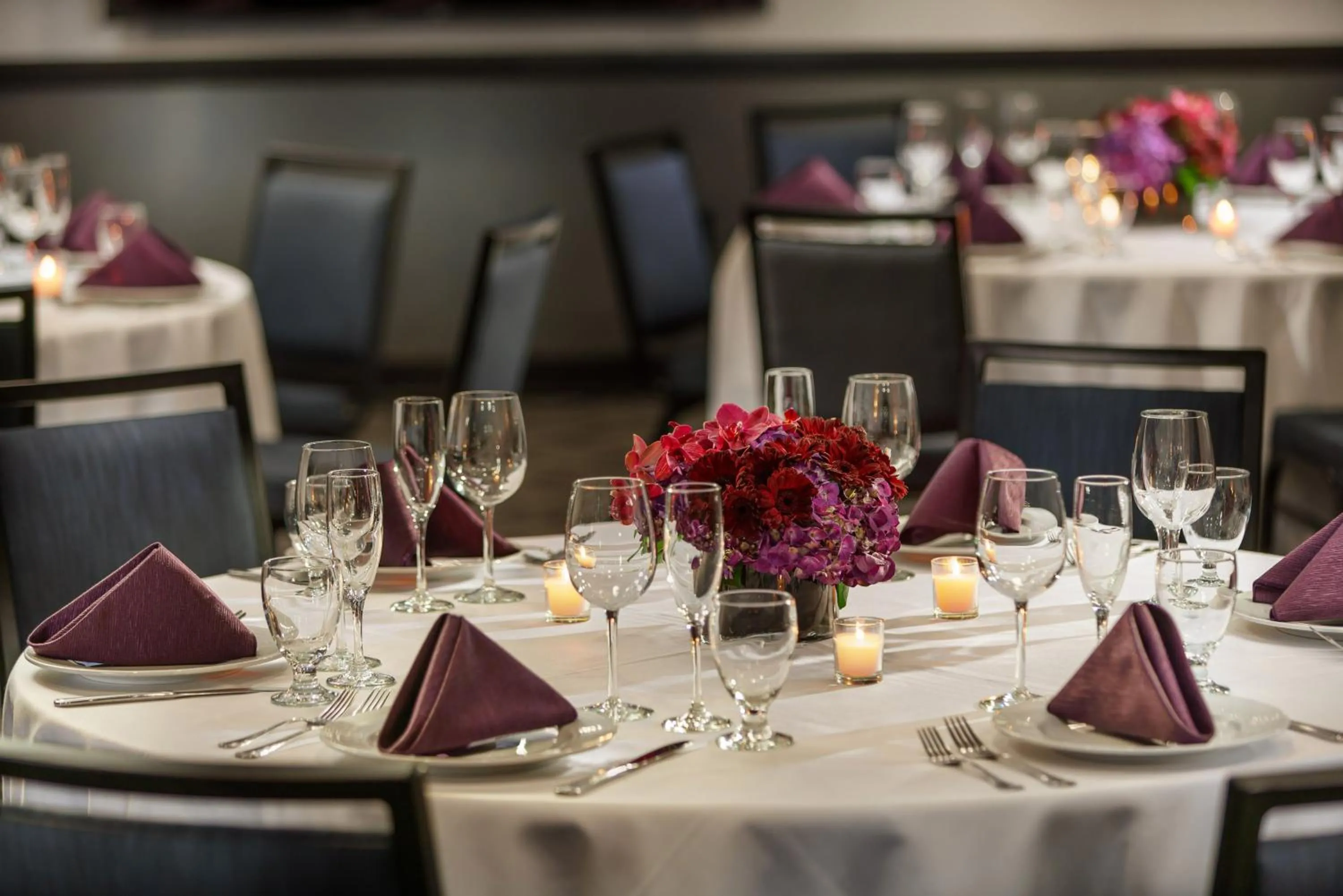 Banquet/Function facilities in Hotel Spero, Vignette Collection by IHG