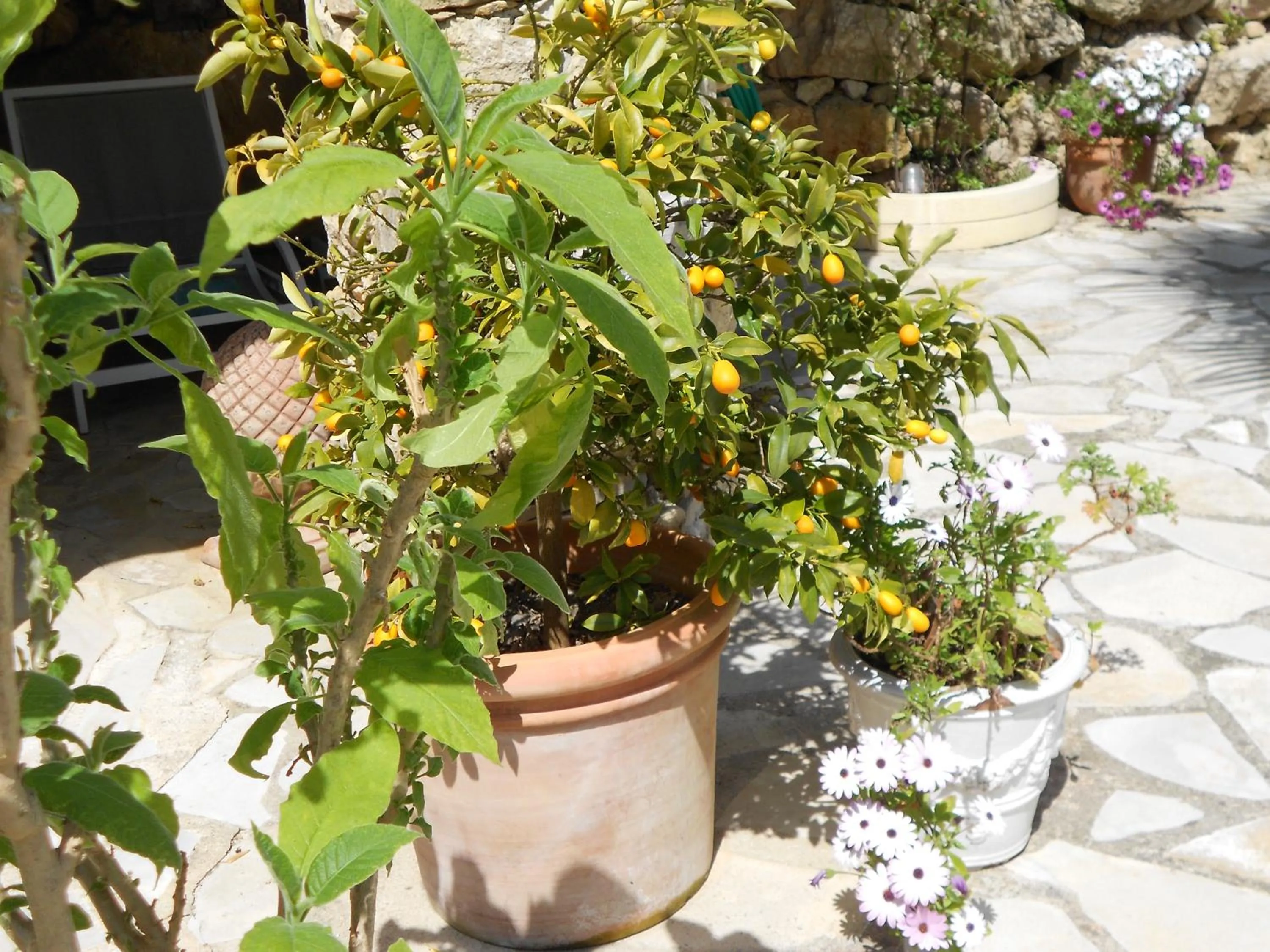 Garden view in Le Mas de FRAYERE