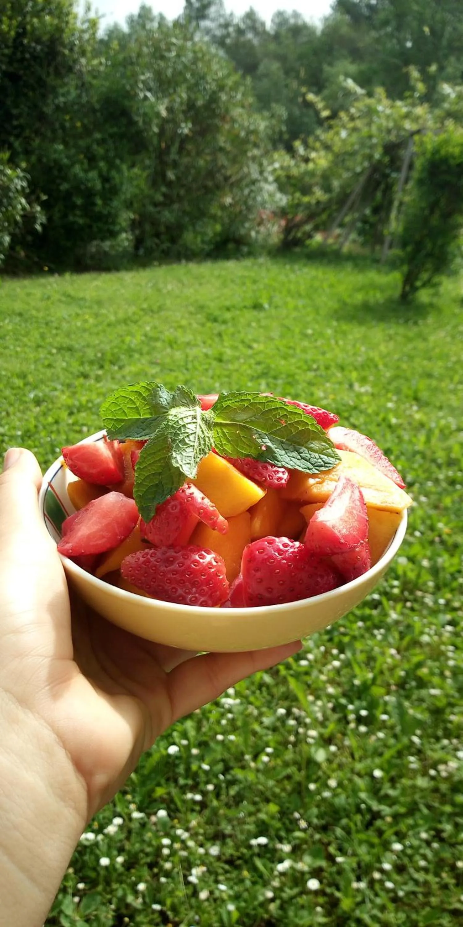 Food in Le Mas de FRAYERE