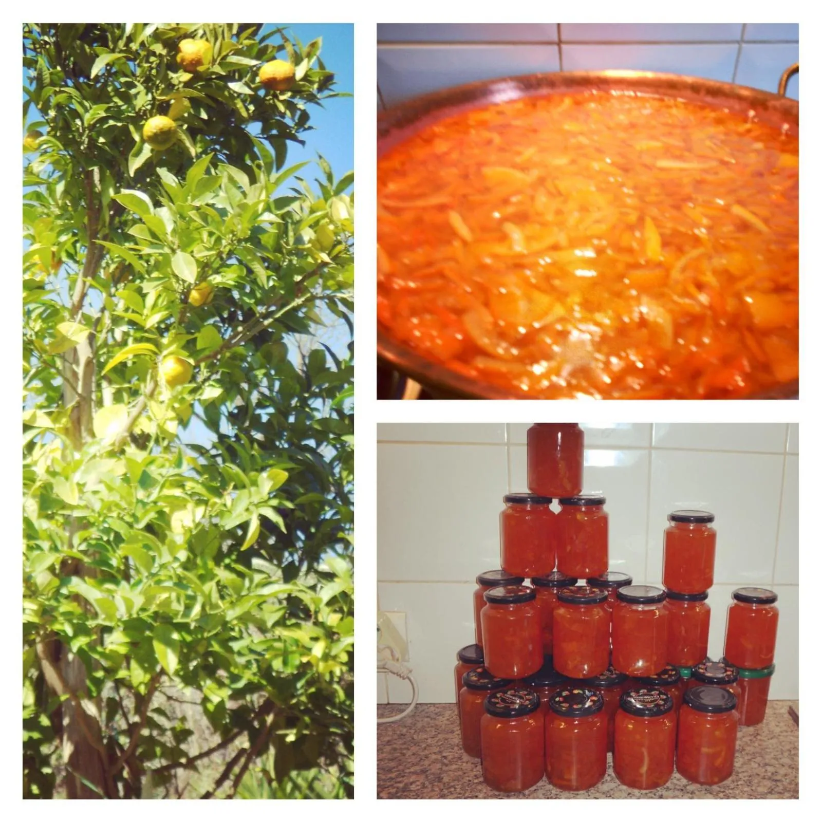 Breakfast in Le Mas de FRAYERE