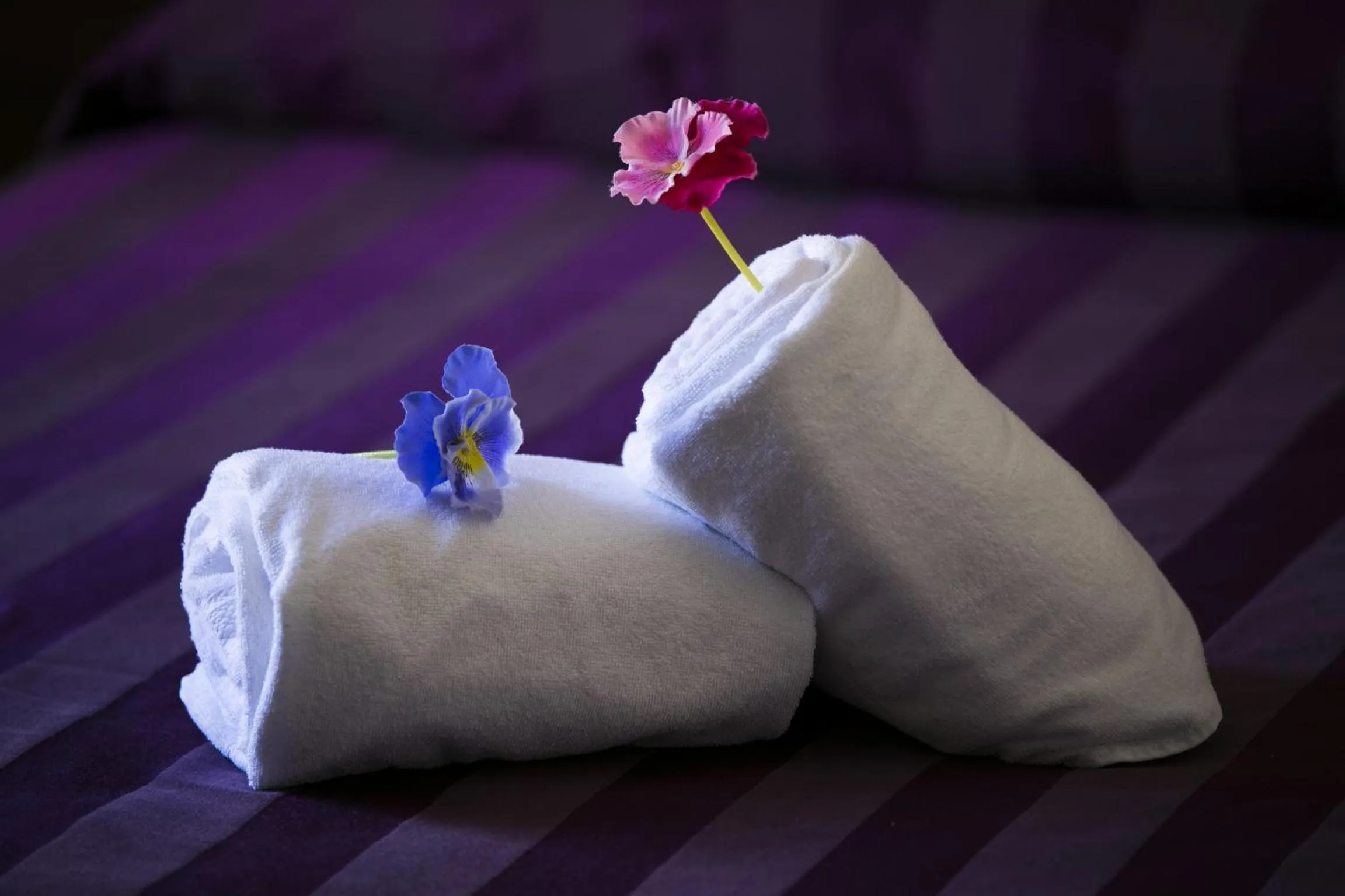 Other, Bed in Trigrana Vacanze Hotel