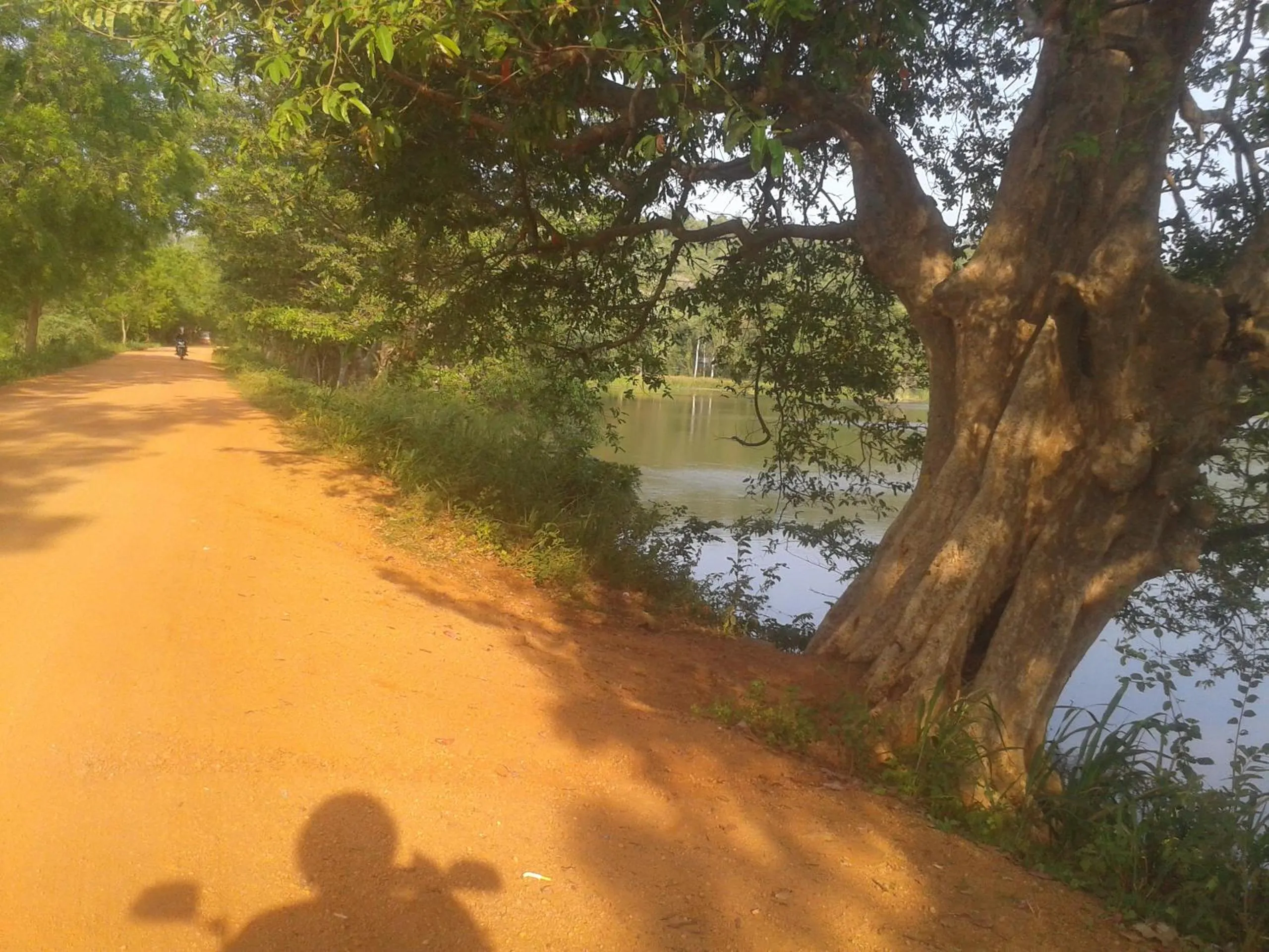 Natural landscape in Lake Bliss