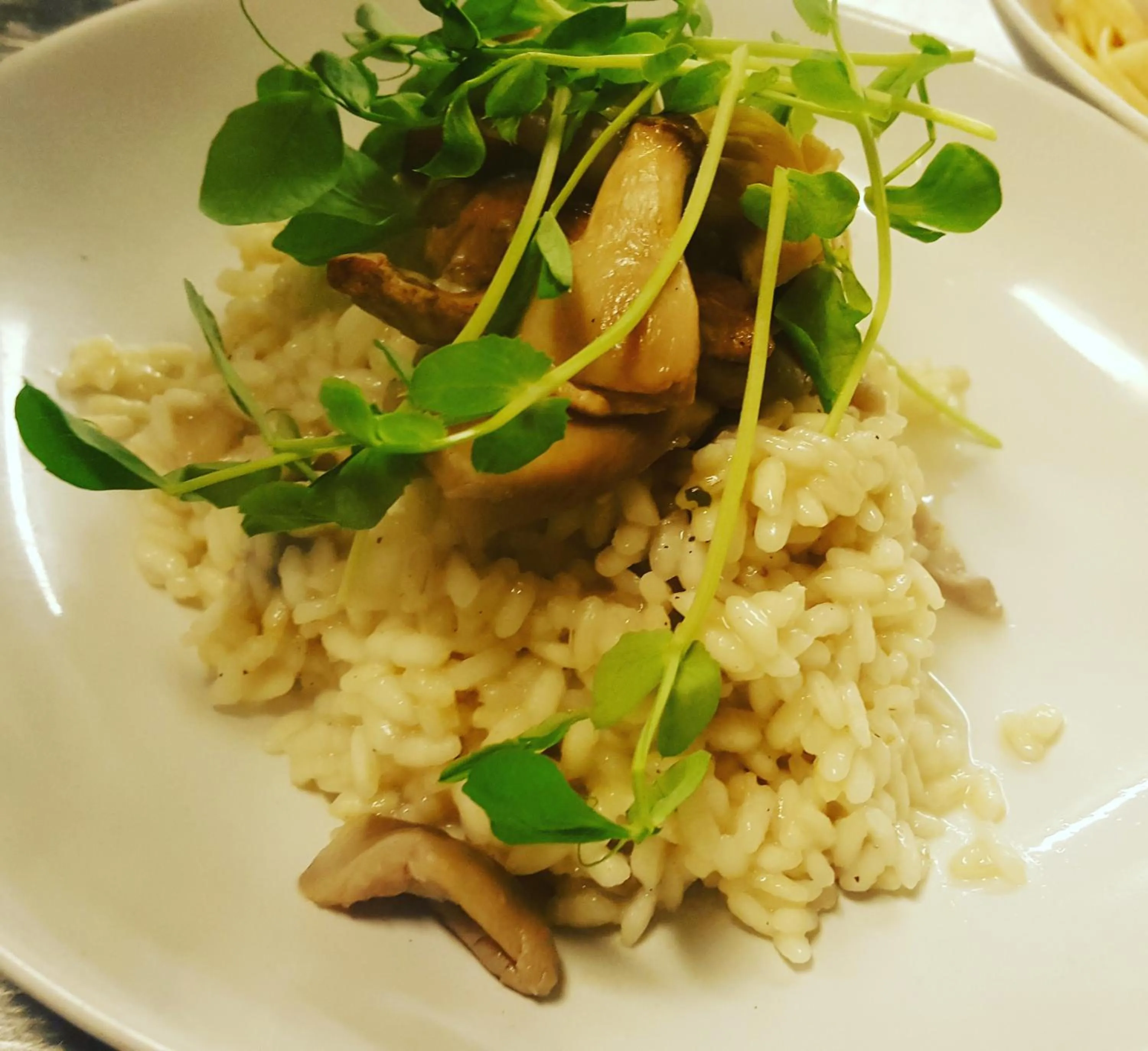 Restaurant/places to eat in The Whistle and Flute