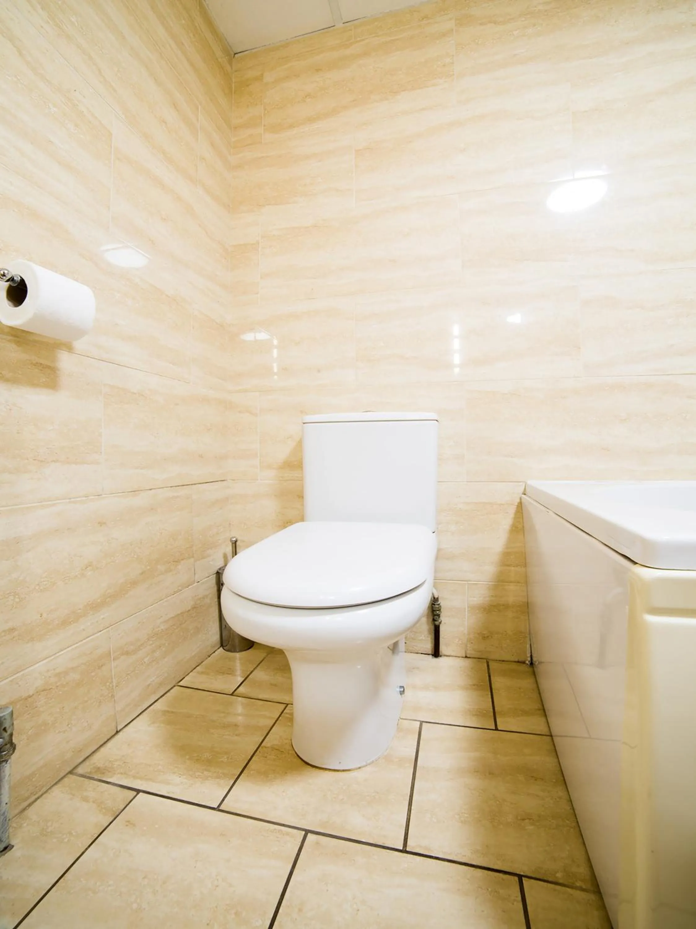 Bathroom in The Whistle and Flute