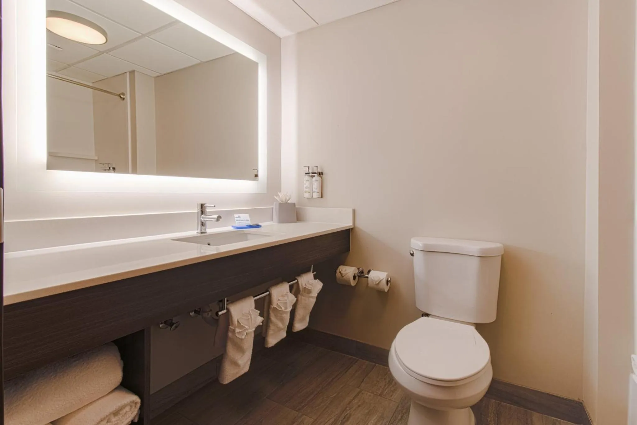 Bathroom in Holiday Inn Express Hartford-Newington by IHG
