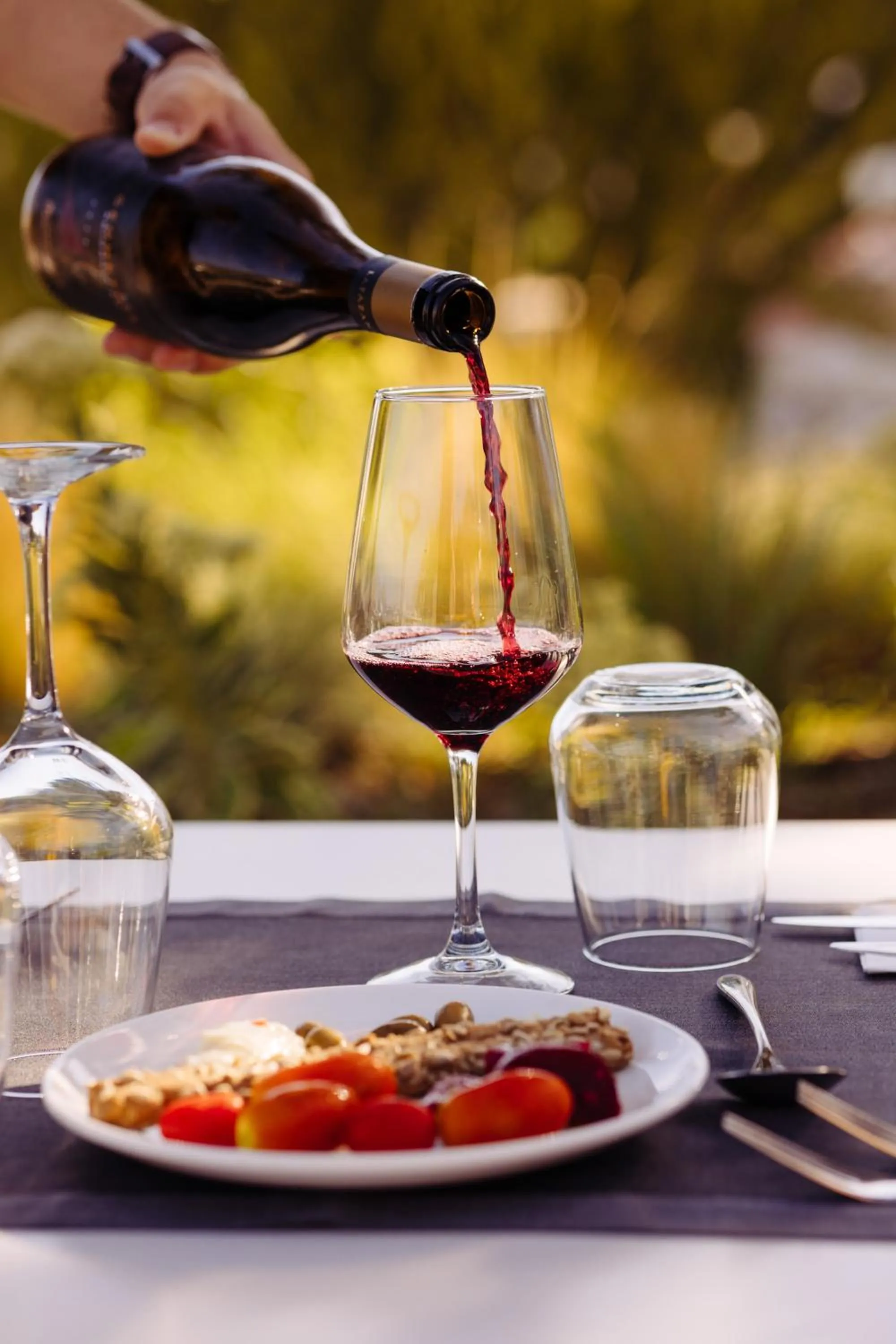 Food and drinks in Alianthos Estate Resort - ex Alianthos Garden