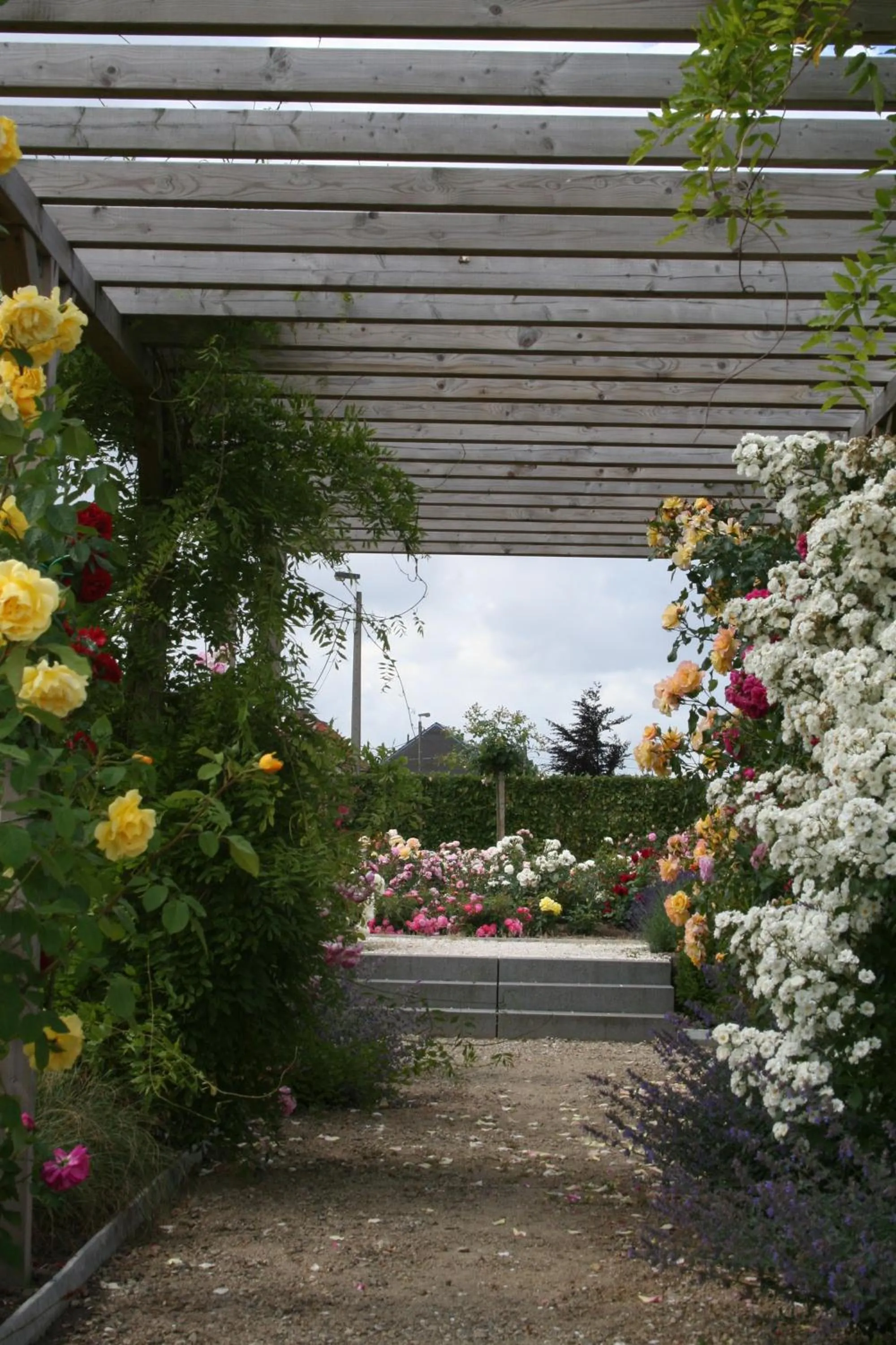 Garden in B&B La Vie En Roses