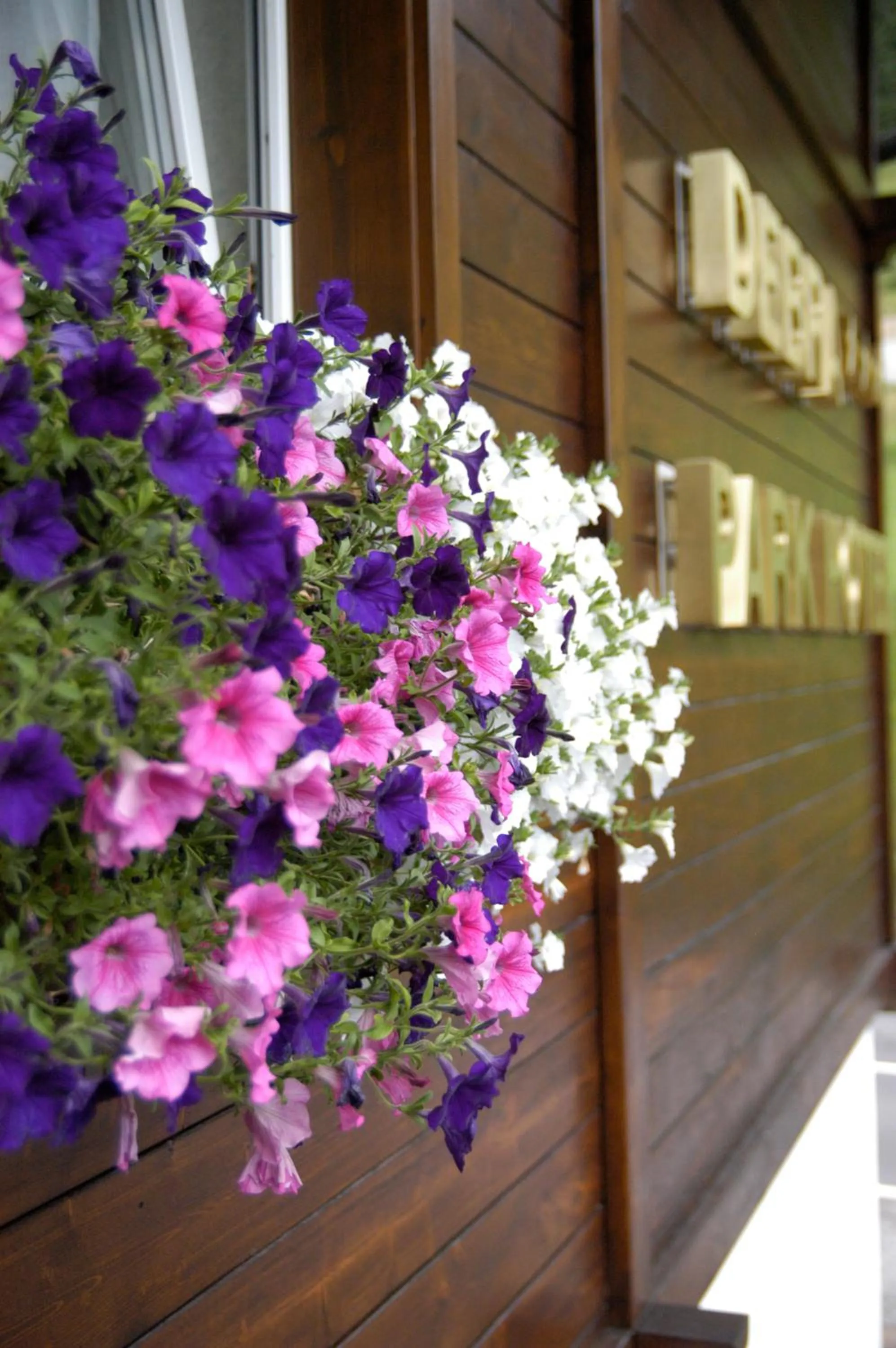 Spring in Debra Park Hotel