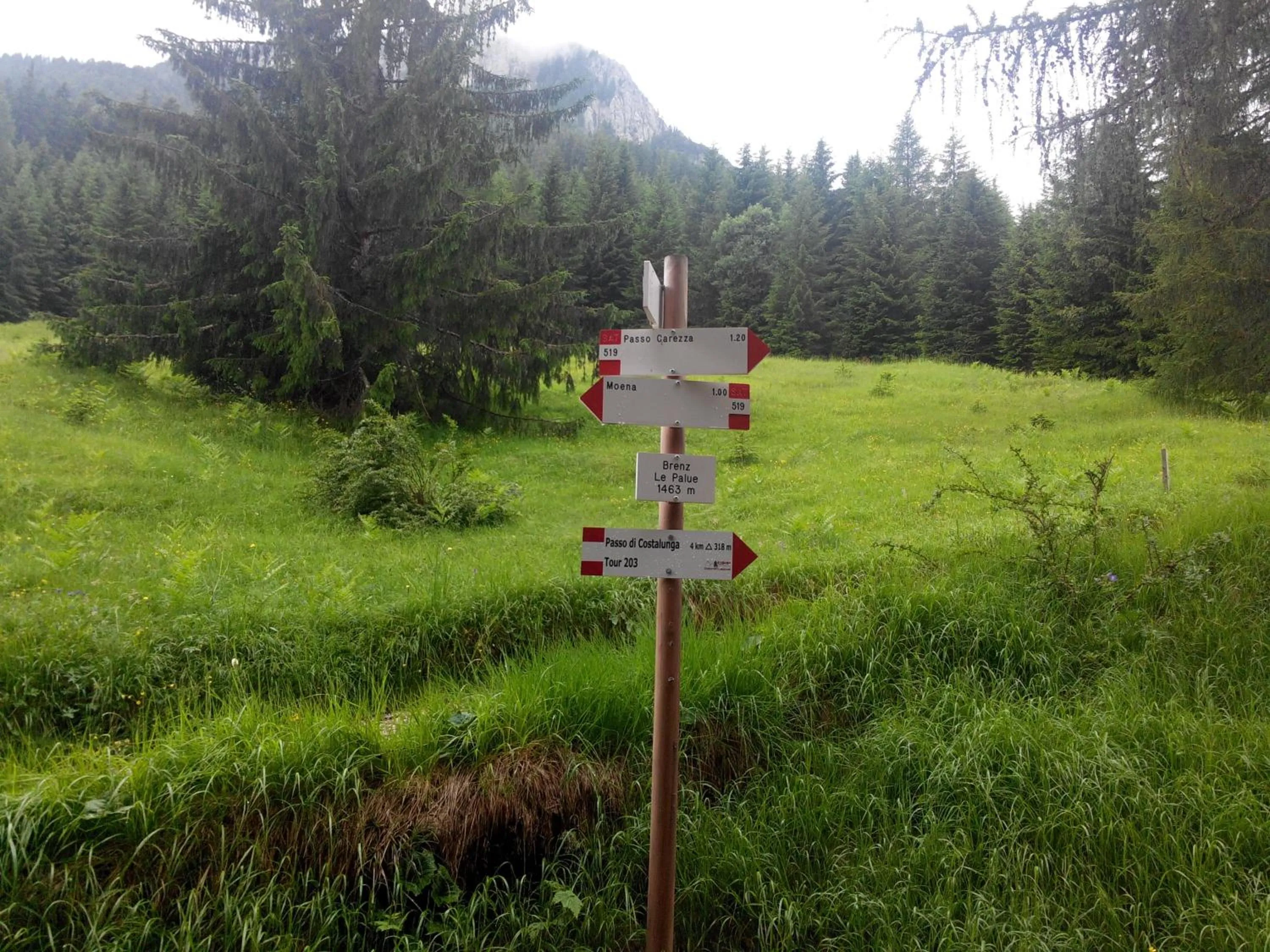 Day in Debra Park Hotel