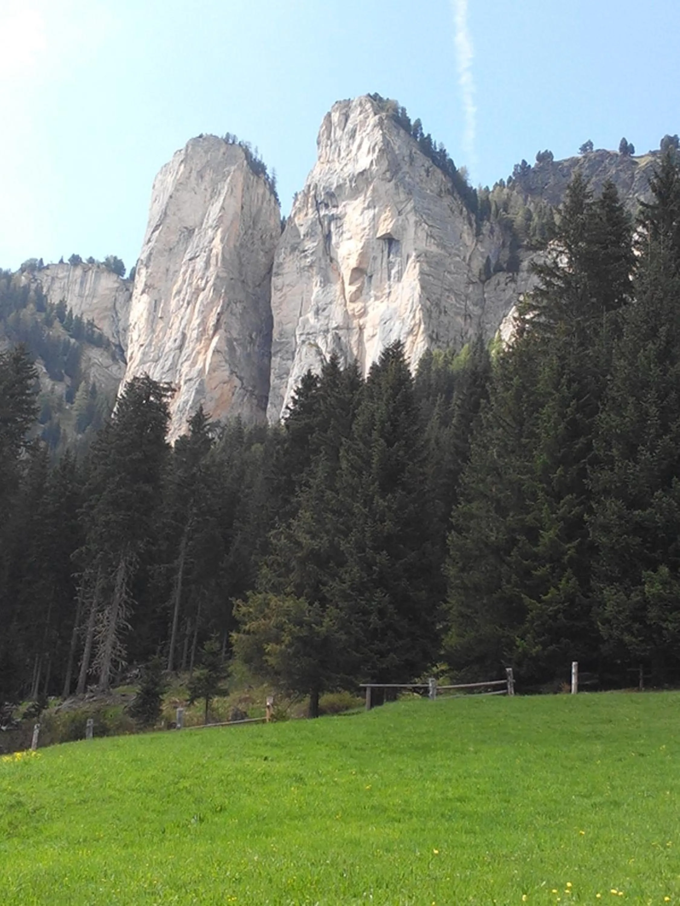 Day in Debra Park Hotel