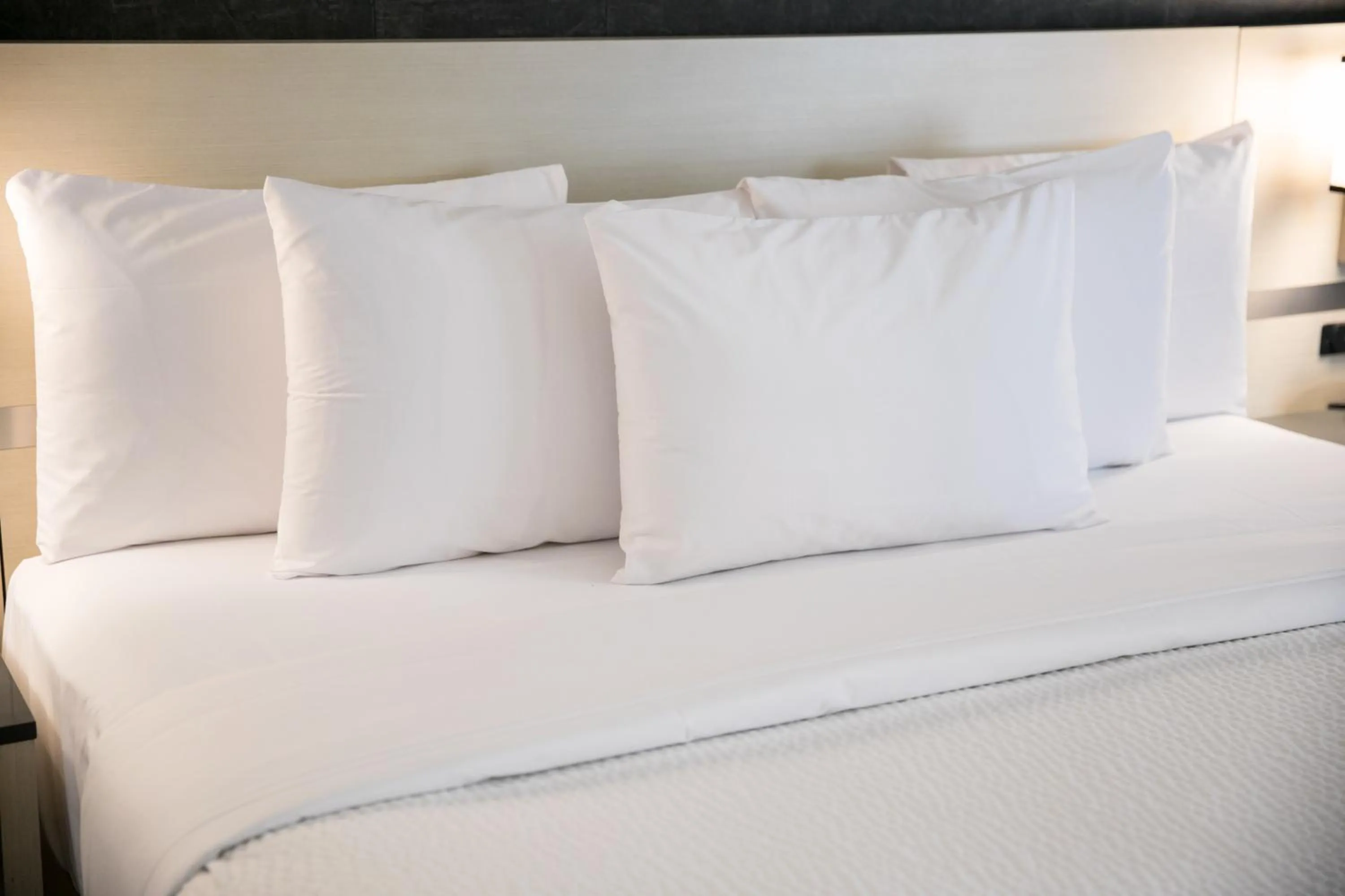 Bed in Days Inn & Suites by Wyndham Edmonton Airport