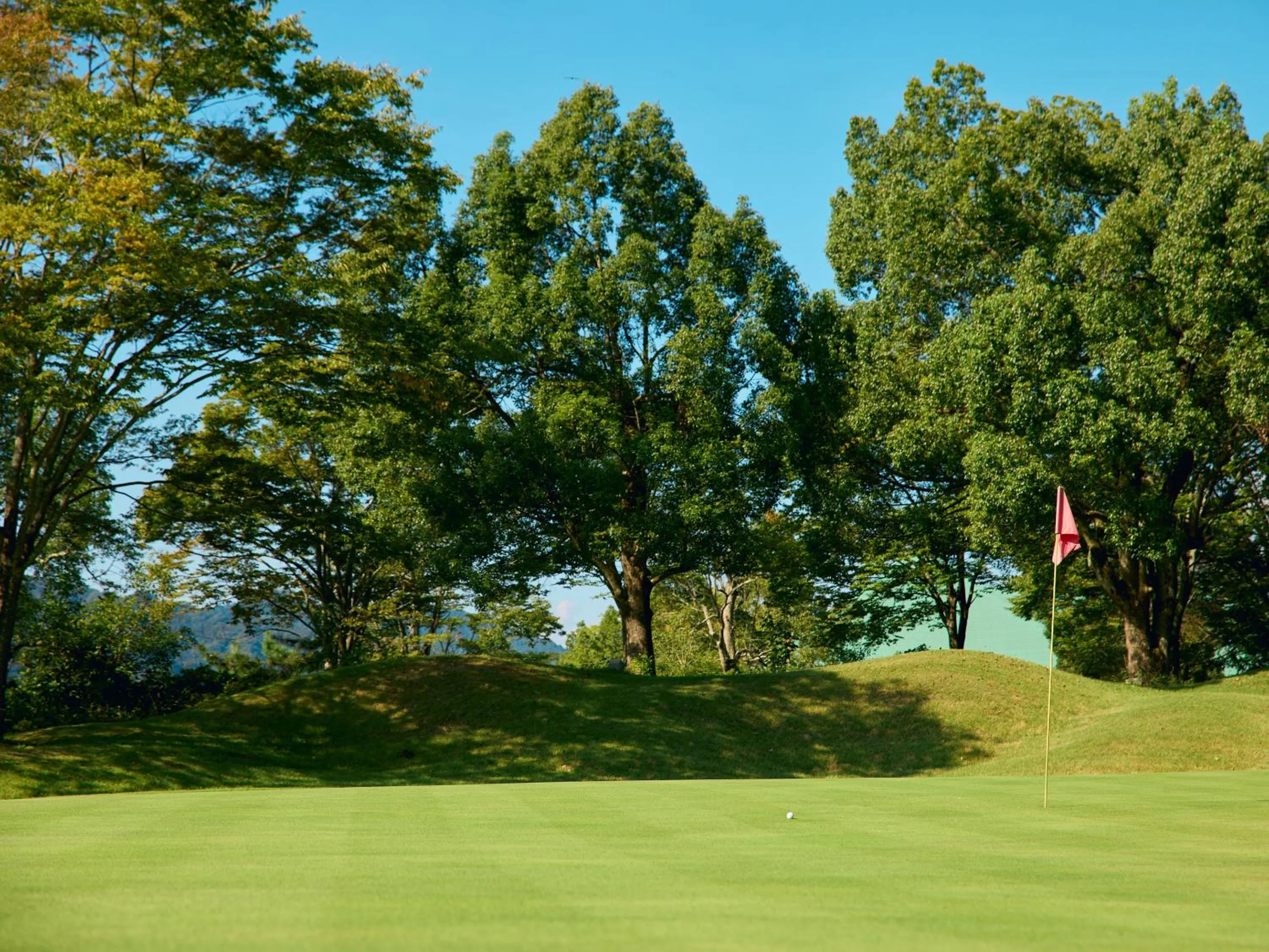 Day in Mission Hills Hotel