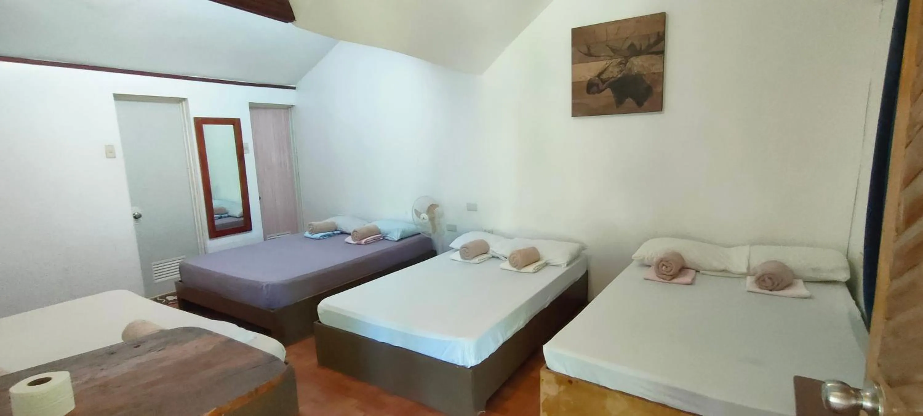 Property building, Bed in Siargao Tropic Hostel