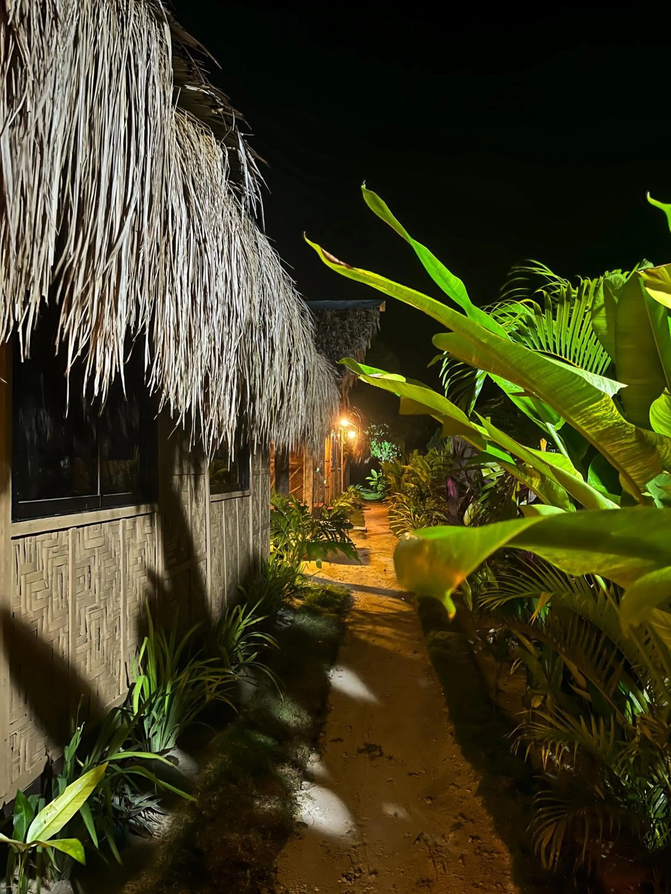 Siargao Tropic Hostel