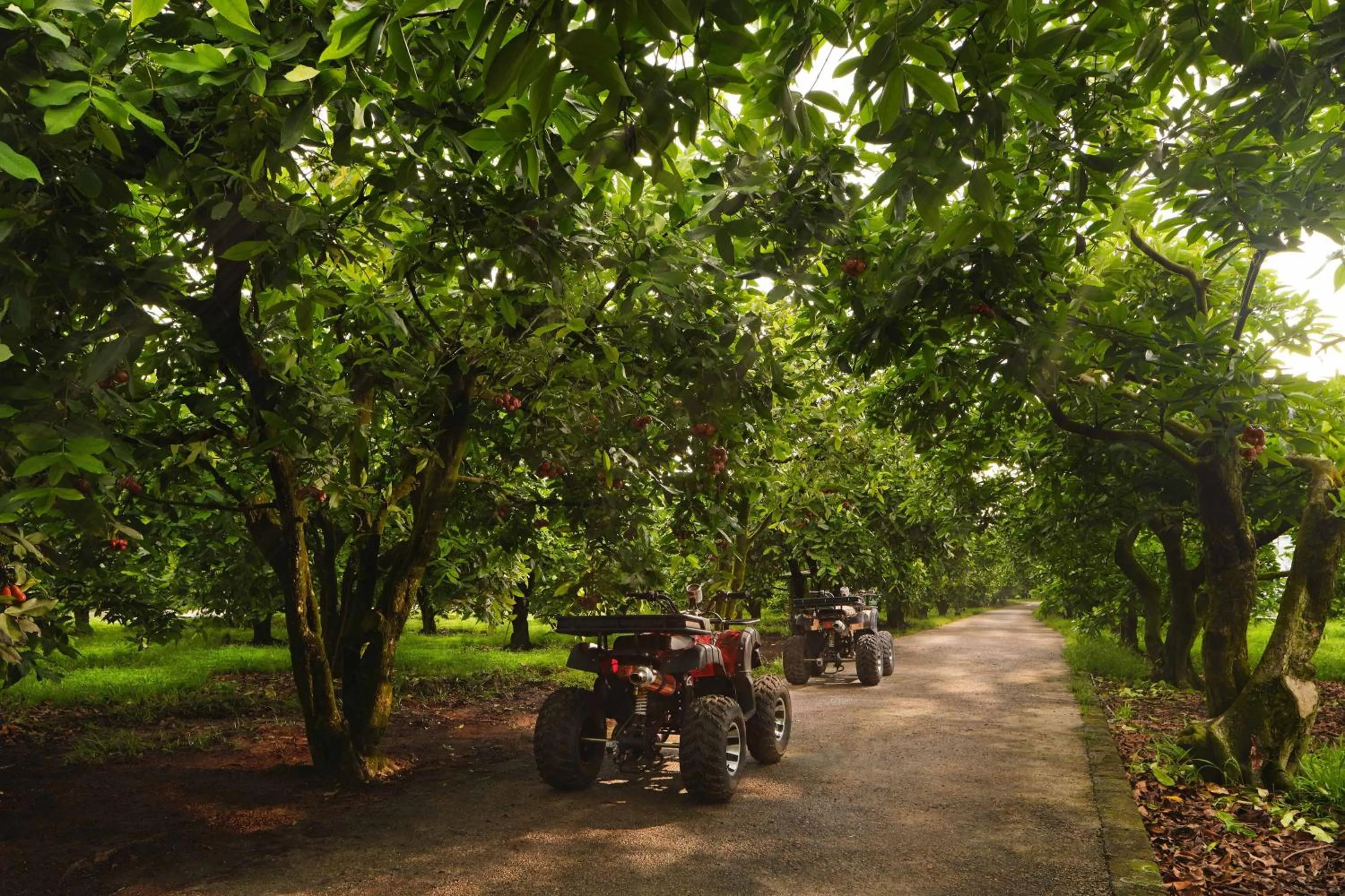 Other in The Westin Desaru Coast Resort