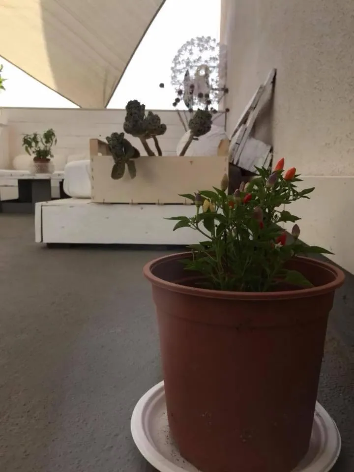 B&B CASA GILANIA LAMPEDUSA