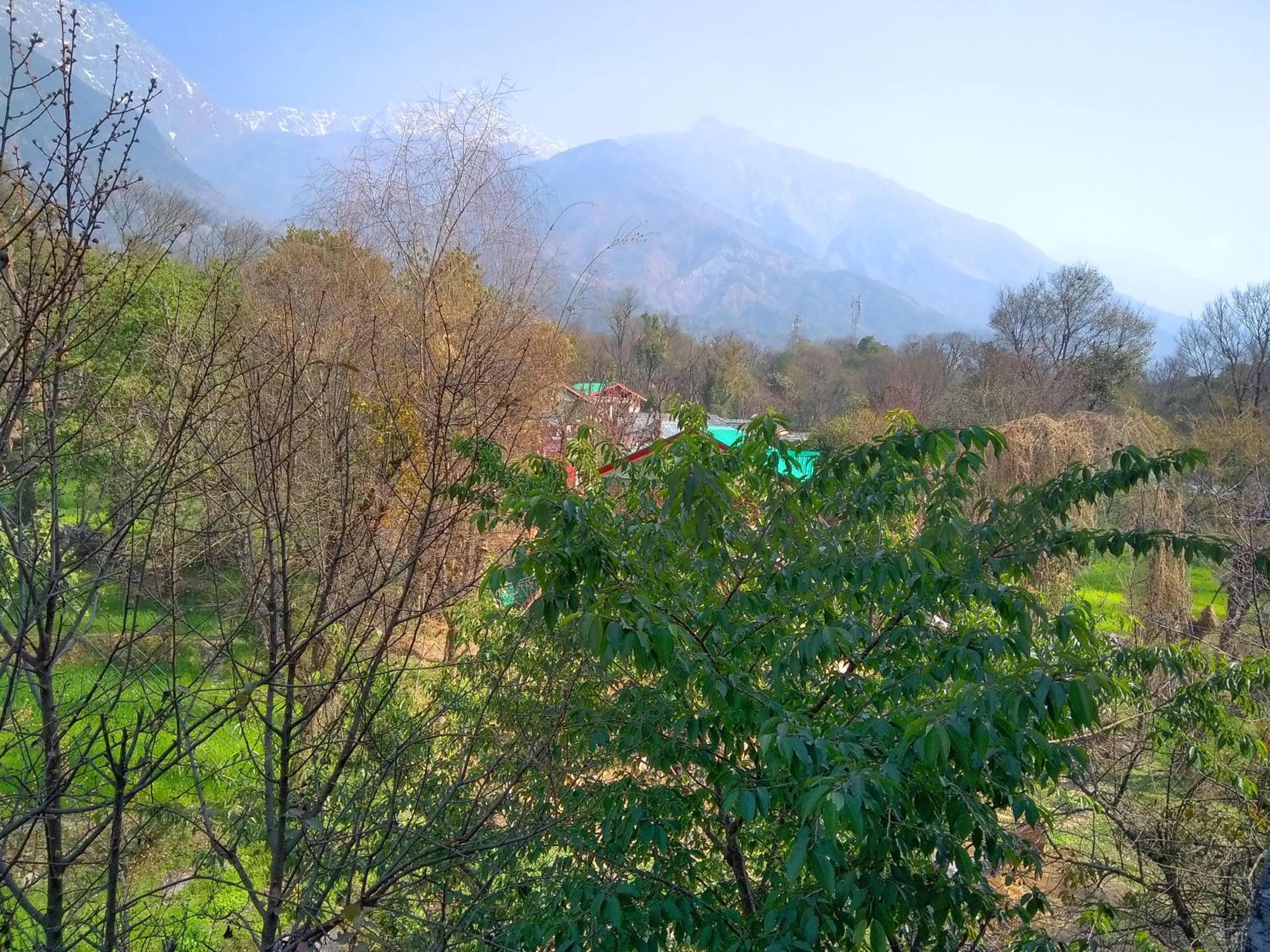 Property building in Highland Village Resort