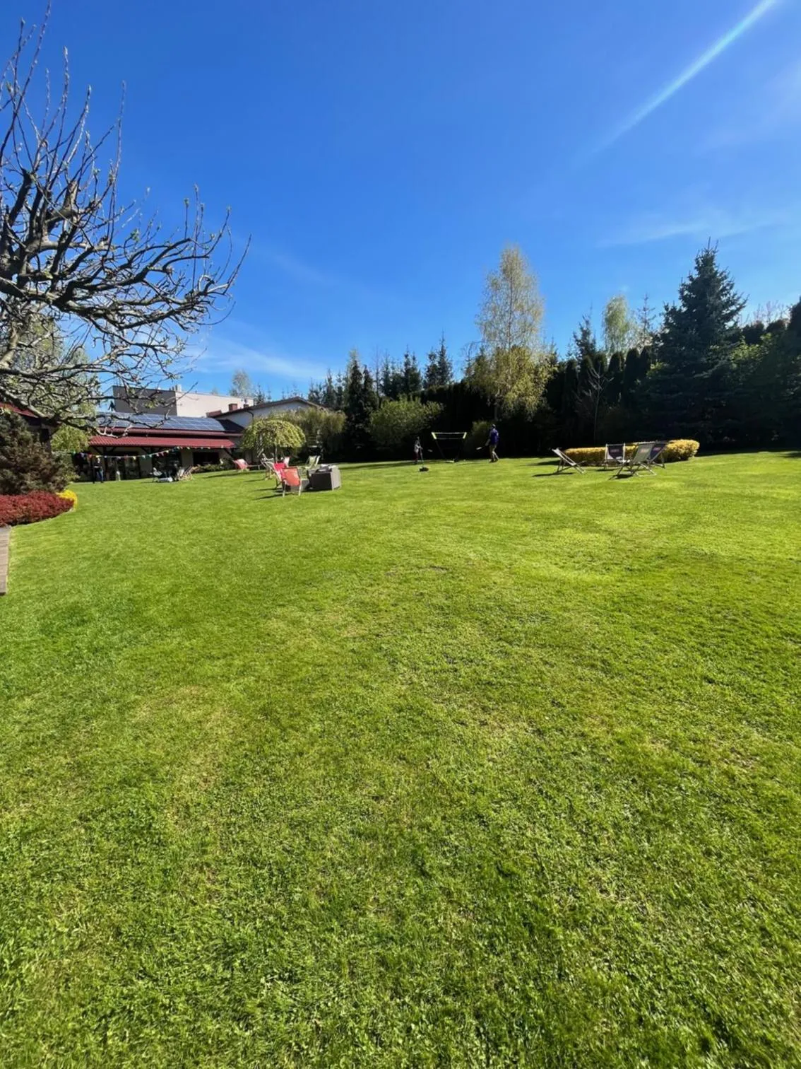 Garden in Hotel Platan